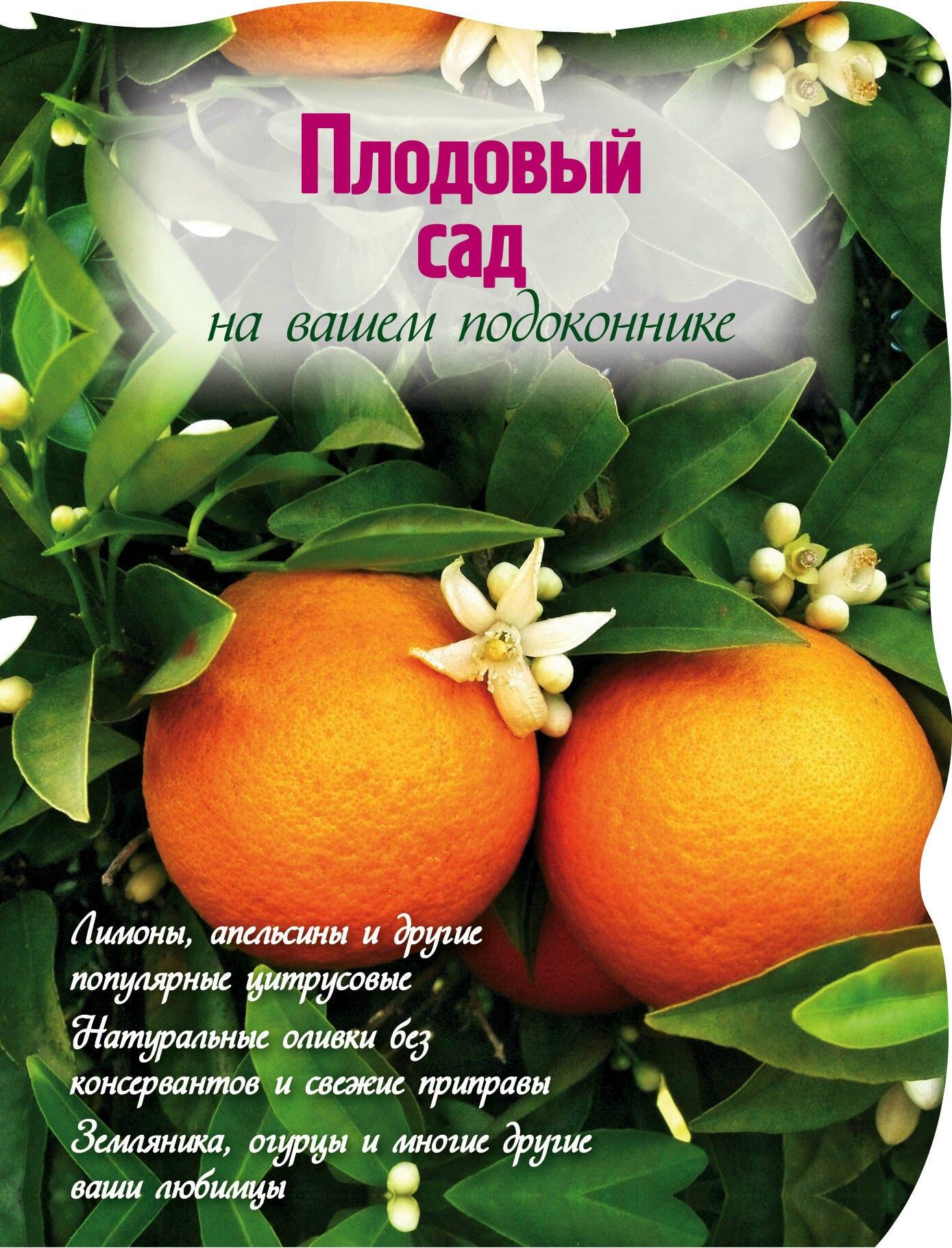https://ndc.book24.ru/pim/products/images/86/25/01940b70-b624-7e29-9e0f-67027b028625.jpg