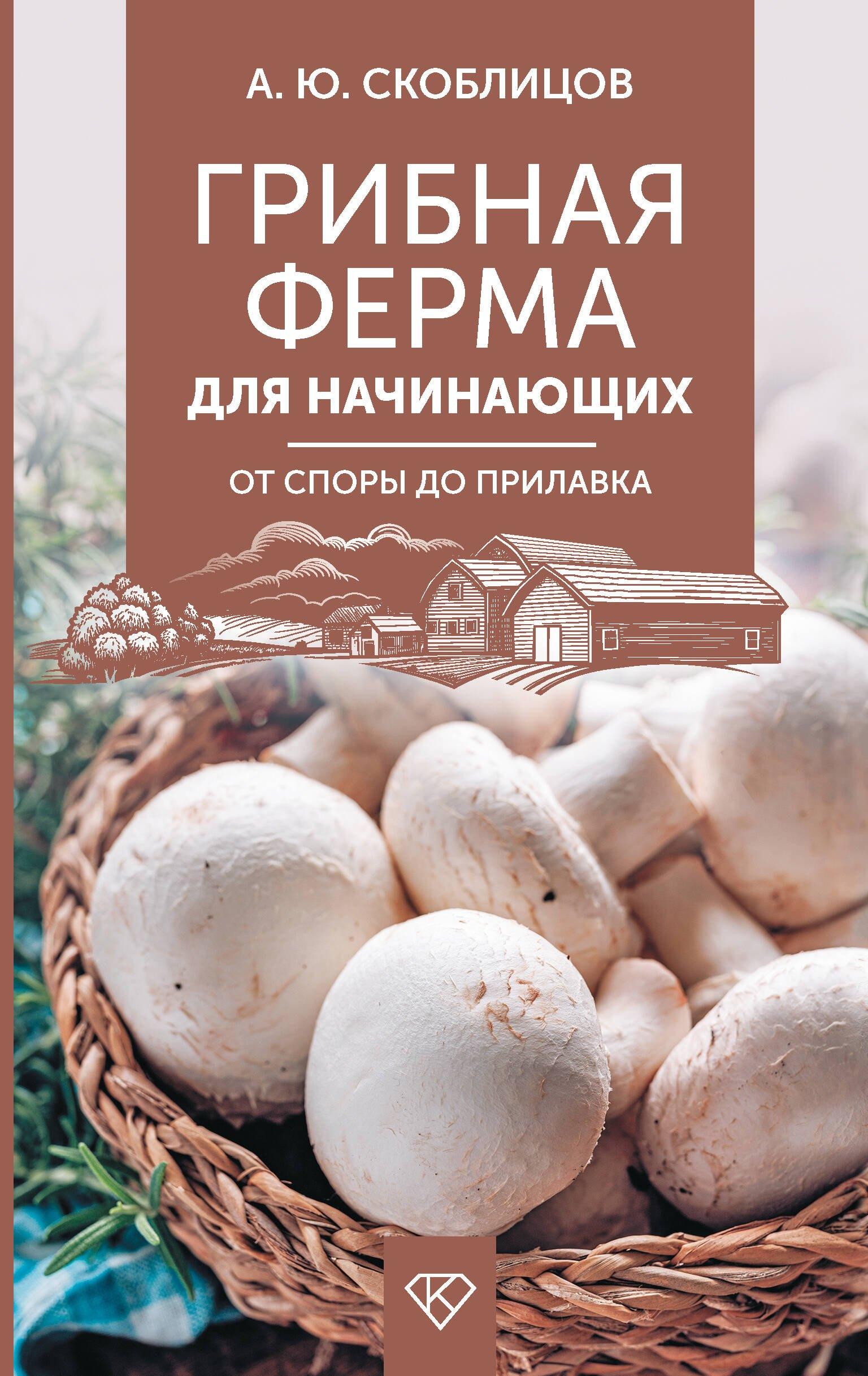 https://ndc.book24.ru/pim/products/images/89/7c/0194d50d-f751-763c-a920-7aeb7ac0897c.jpg