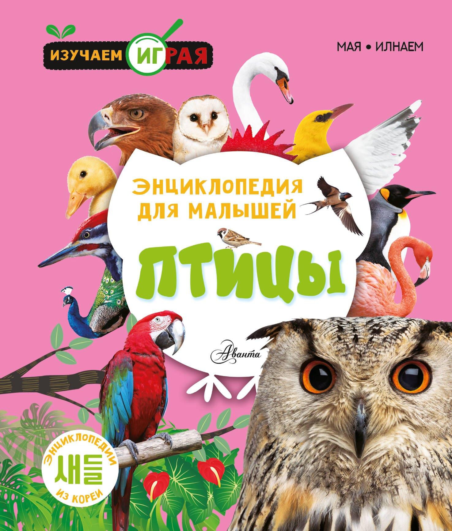 https://ndc.book24.ru/pim/products/images/89/c9/0195082b-fc9b-79eb-a1a3-4feaae0989c9.jpg