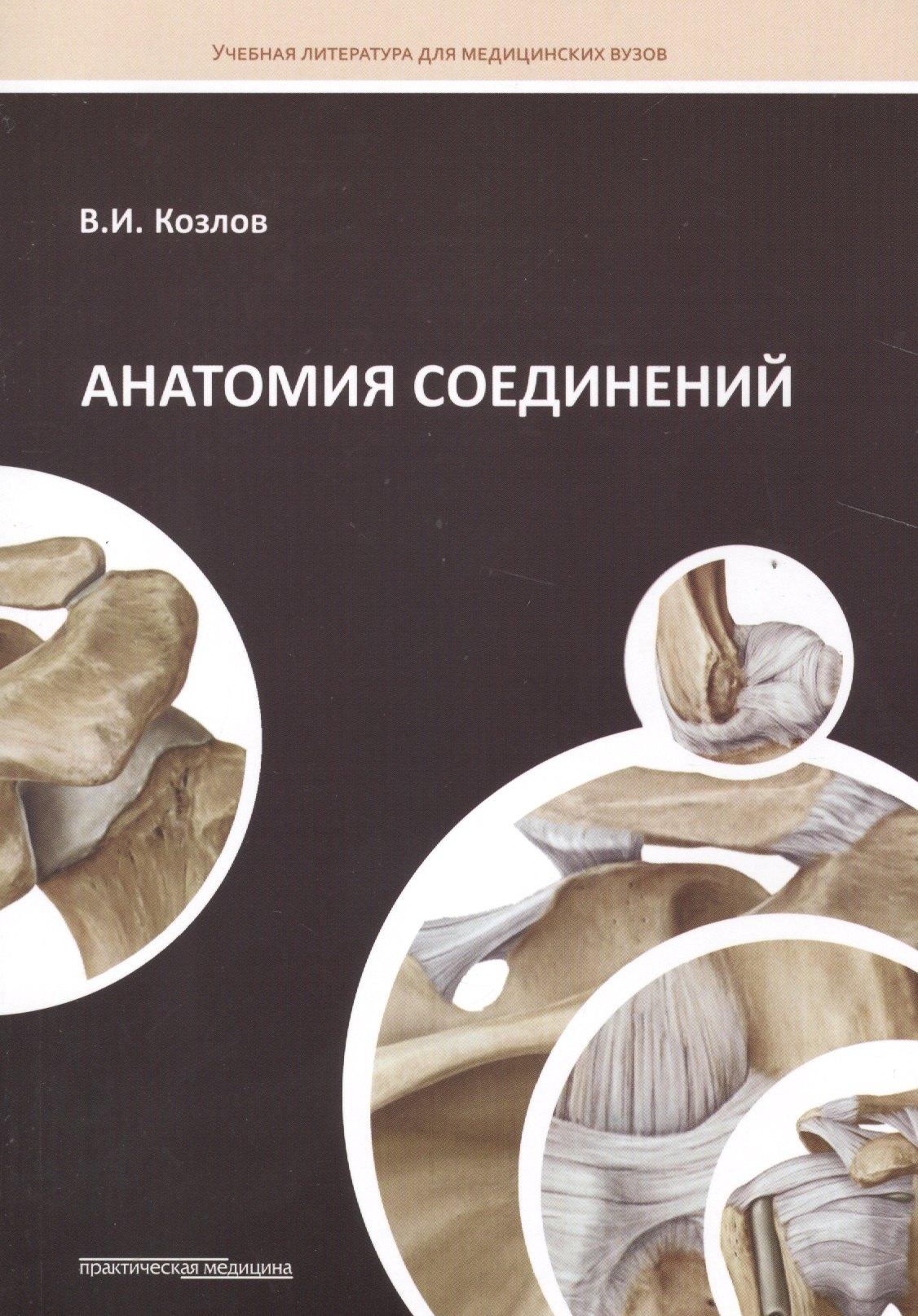 Практическая медицина | Анатомия соединений: Учебное пособие