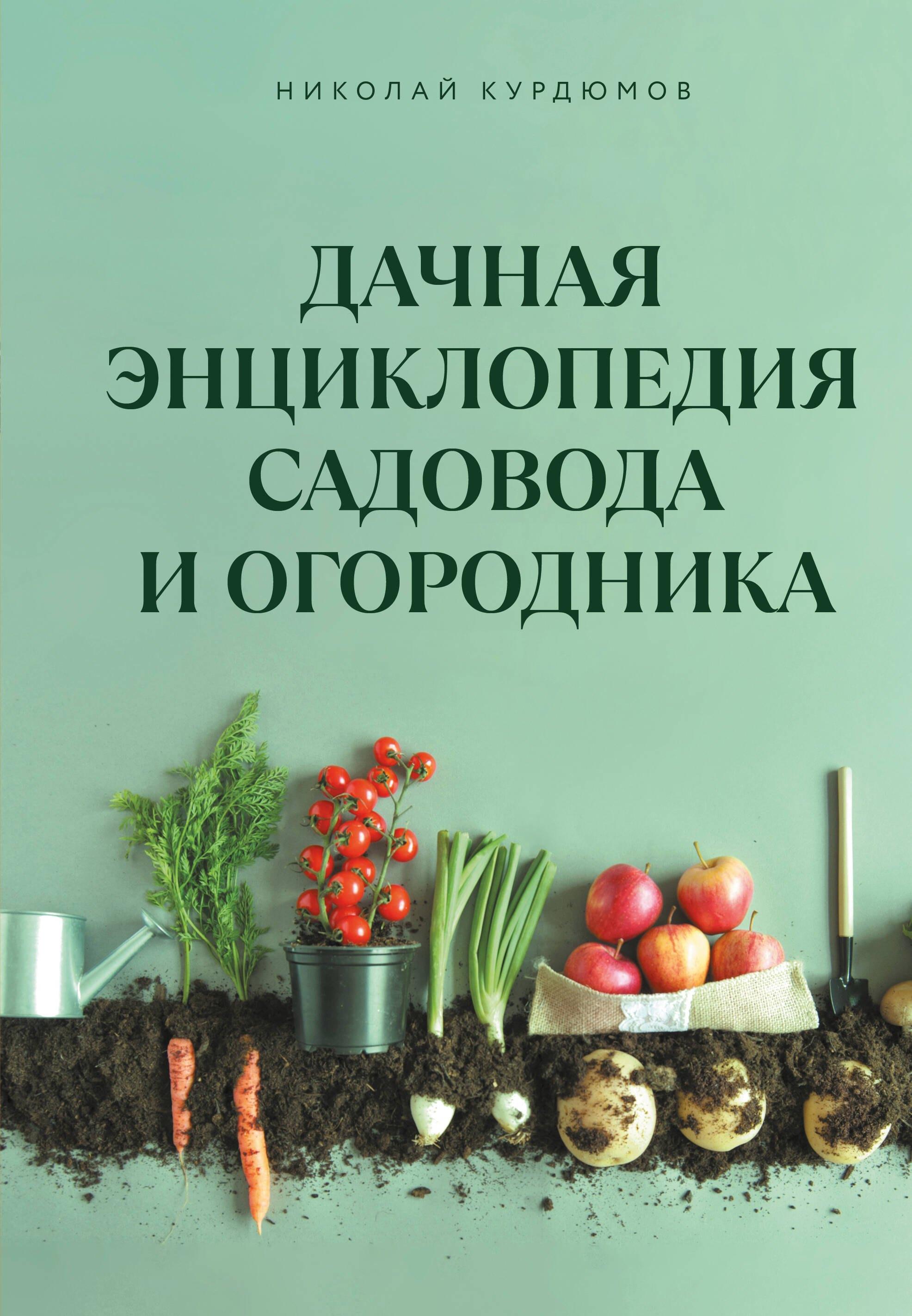 https://ndc.book24.ru/pim/products/images/8c/b0/0199ce2a-65d8-77a6-964a-bc91b8848cb0.jpg