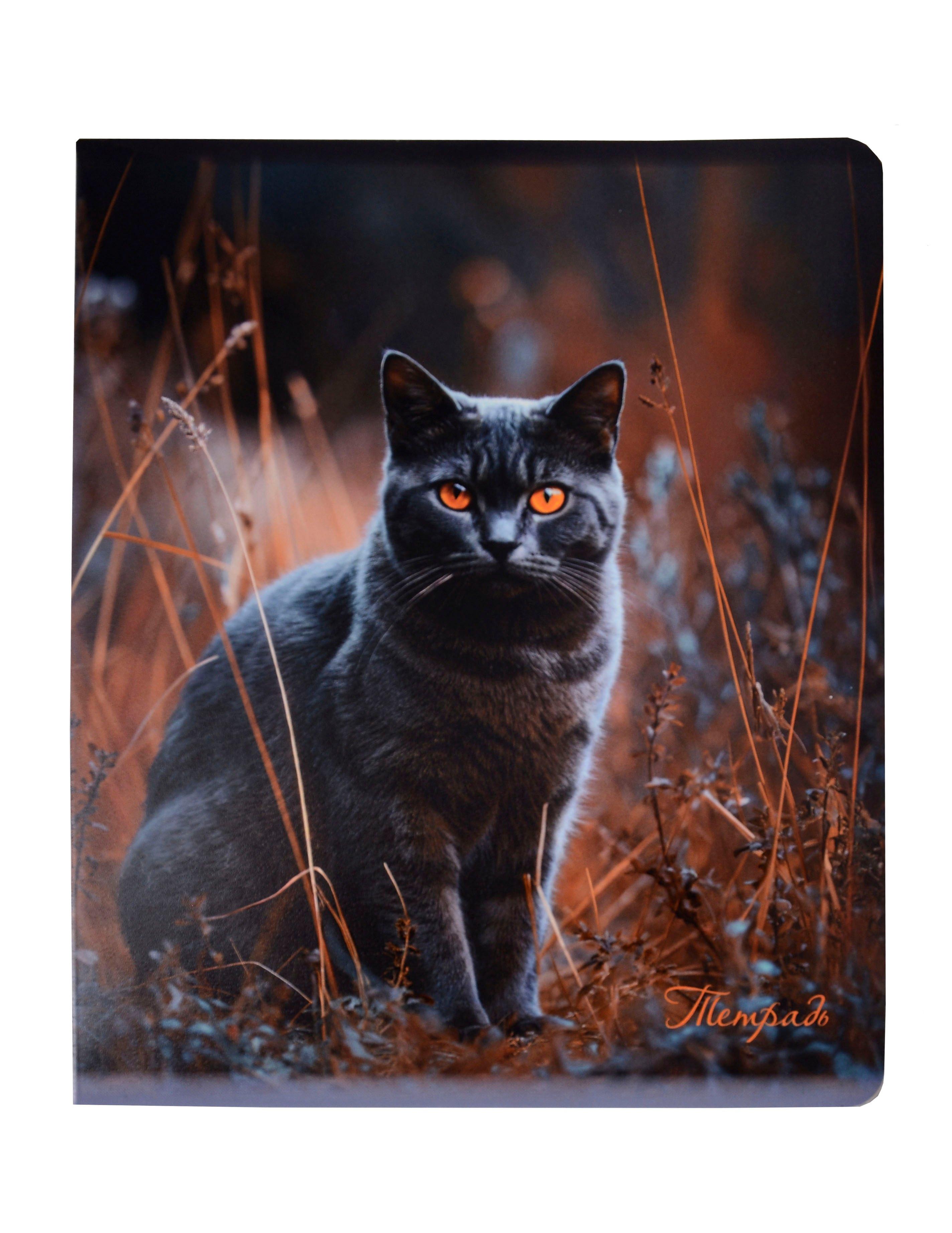 https://ndc.book24.ru/pim/products/images/8f/3f/019855e0-5f1a-79cb-ab73-f59ddf0c8f3f.jpg