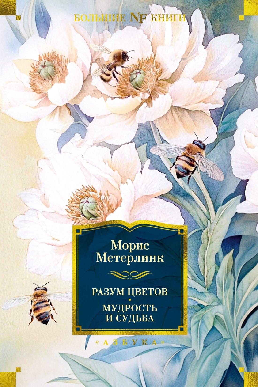 https://ndc.book24.ru/pim/products/images/8f/c7/01947c02-0246-7c27-bfc7-79667a528fc7.jpg