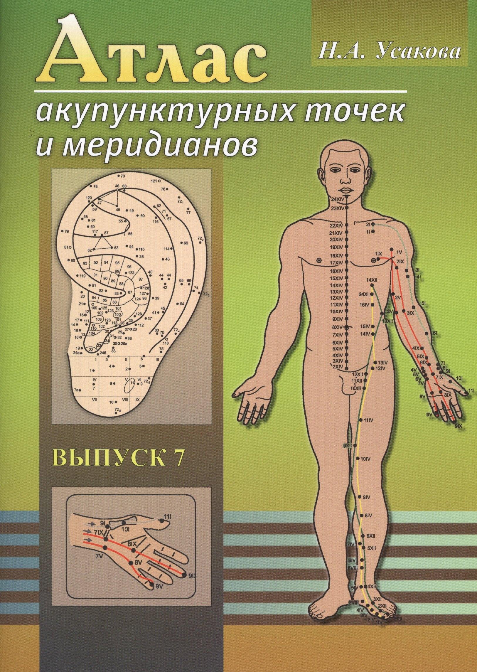 Амрита-Русь | Атлас акупунктурных точек и меридианов. Выпуск 8