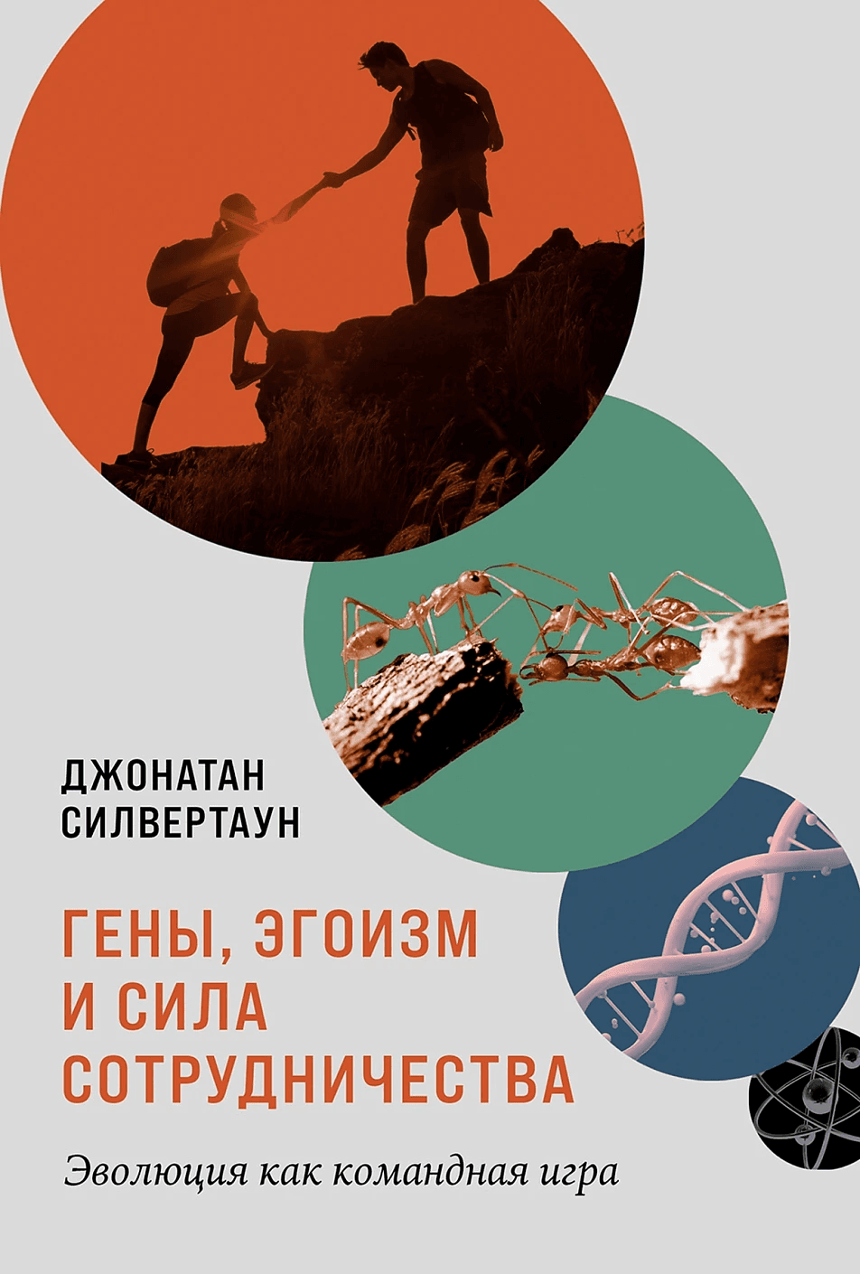 https://ndc.book24.ru/pim/products/images/96/03/01980d60-dfa0-7cdf-9432-838207489603.png