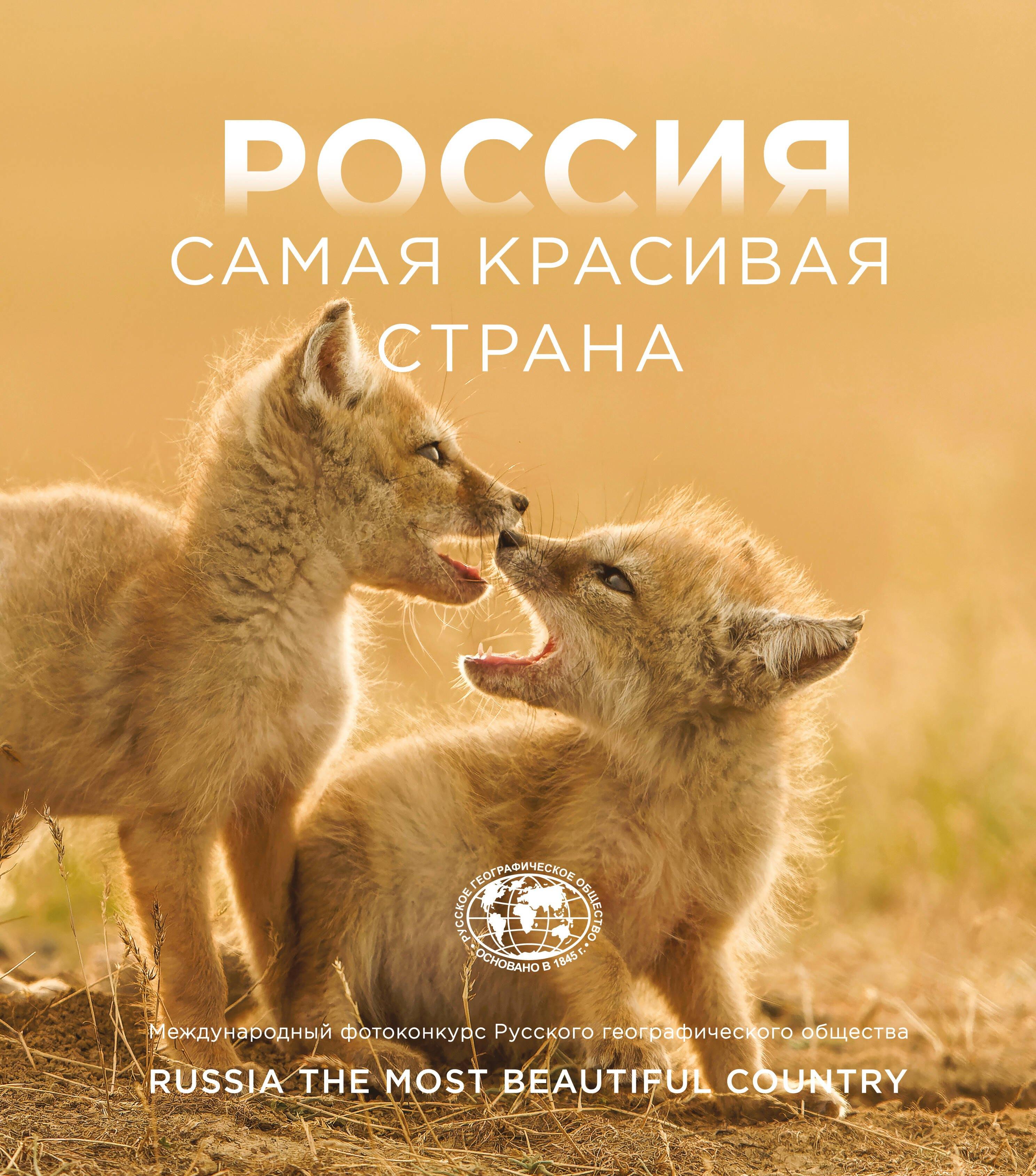 https://ndc.book24.ru/pim/products/images/a2/07/01997566-cee0-7c28-a509-f44c510ba207.jpg