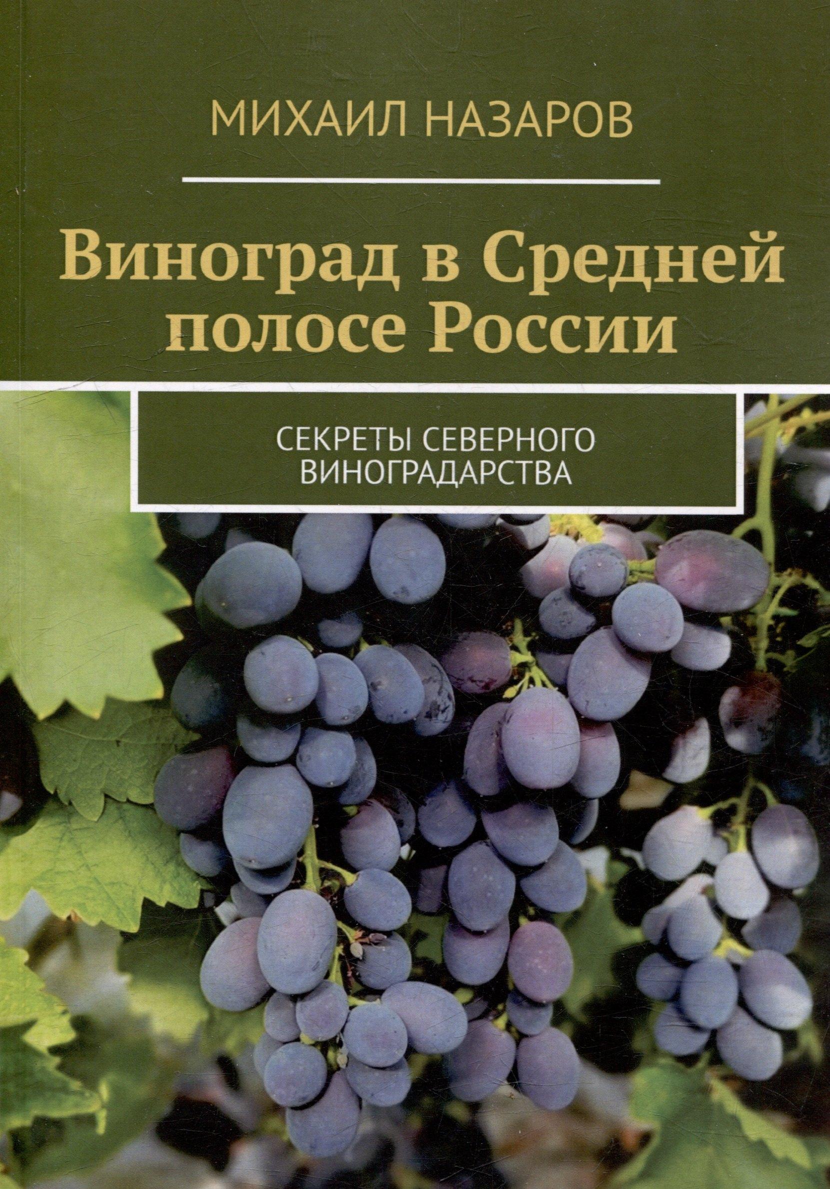 https://ndc.book24.ru/pim/products/images/a2/14/0198a966-8927-7ed3-826d-f4506f79a214.jpg