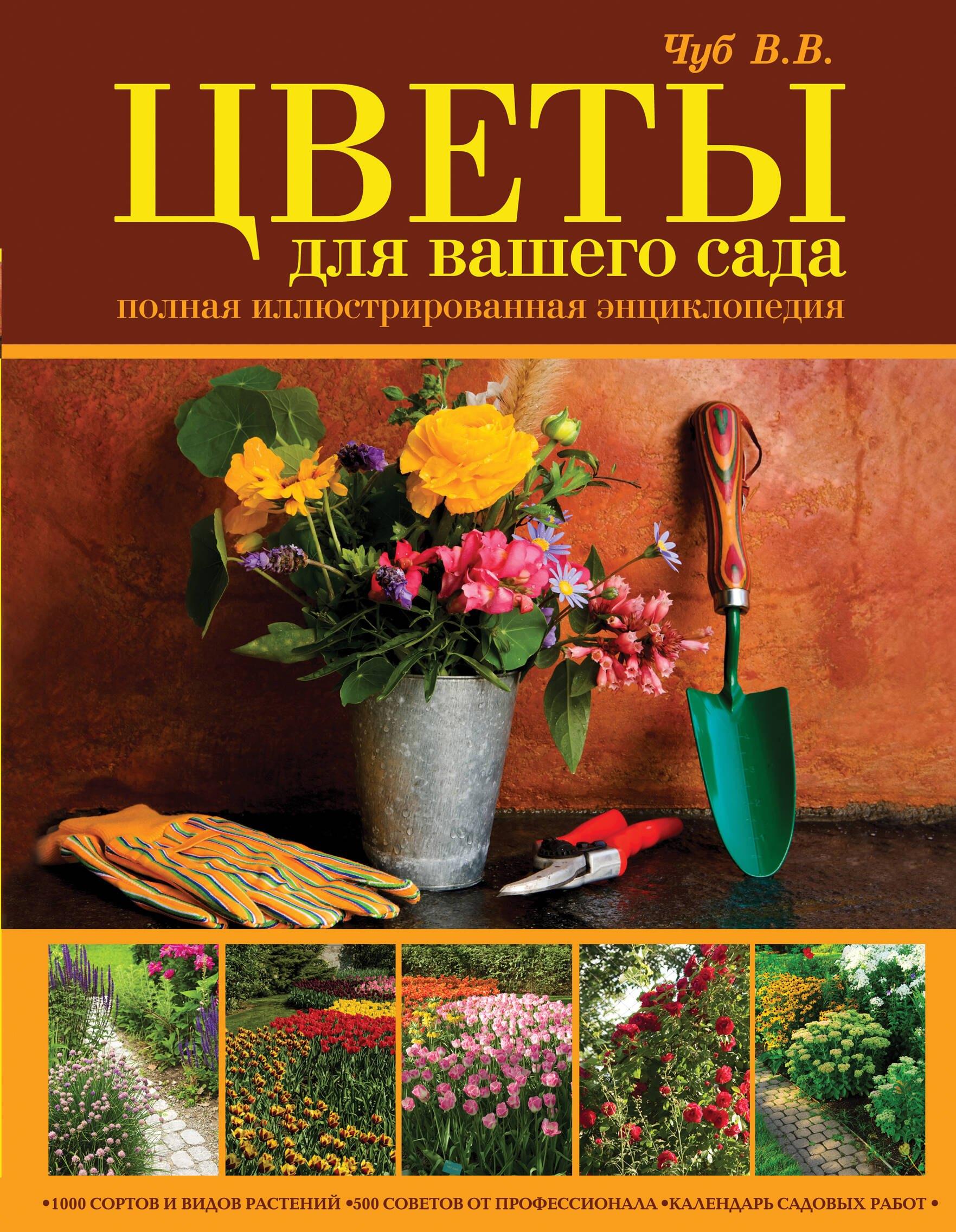 https://ndc.book24.ru/pim/products/images/a8/db/0199e8a0-3098-7e72-aa1f-02e9de43a8db.jpg