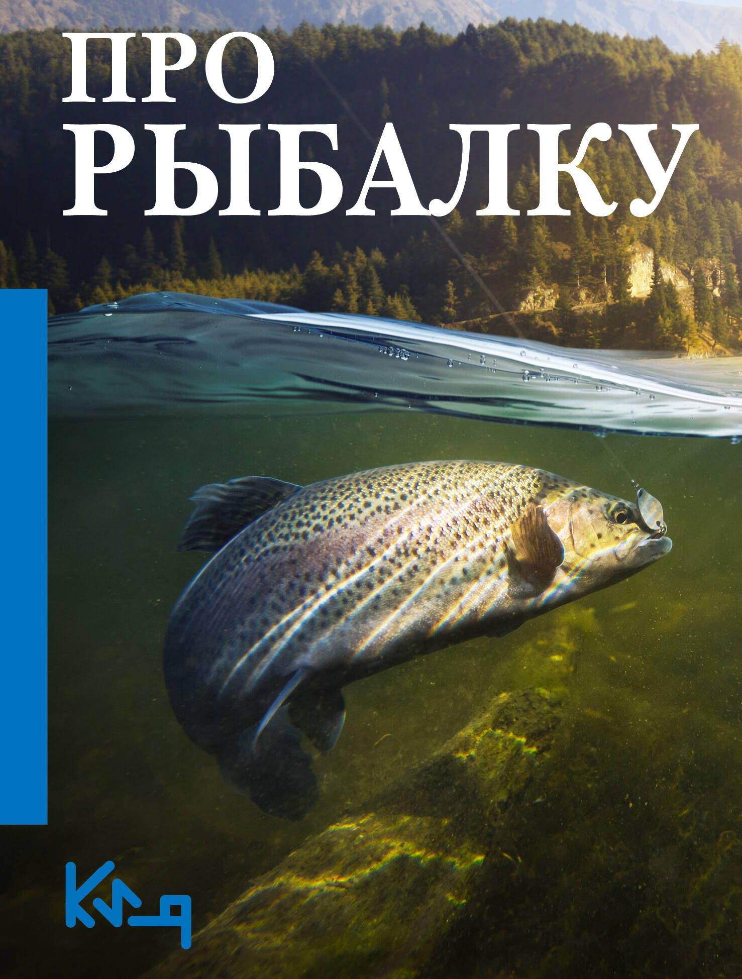 https://ndc.book24.ru/pim/products/images/ac/3f/01949723-a162-77a3-8eb2-9635b301ac3f.jpg