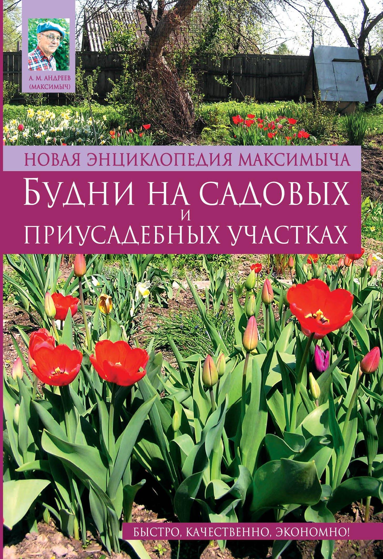 https://ndc.book24.ru/pim/products/images/ad/3b/01907cce-49de-7e28-8a0b-1d026789ad3b.jpg