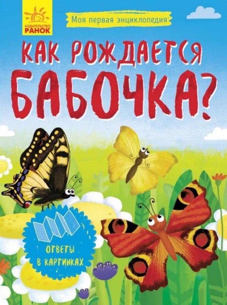 Ранок | Как рождается бабочка?