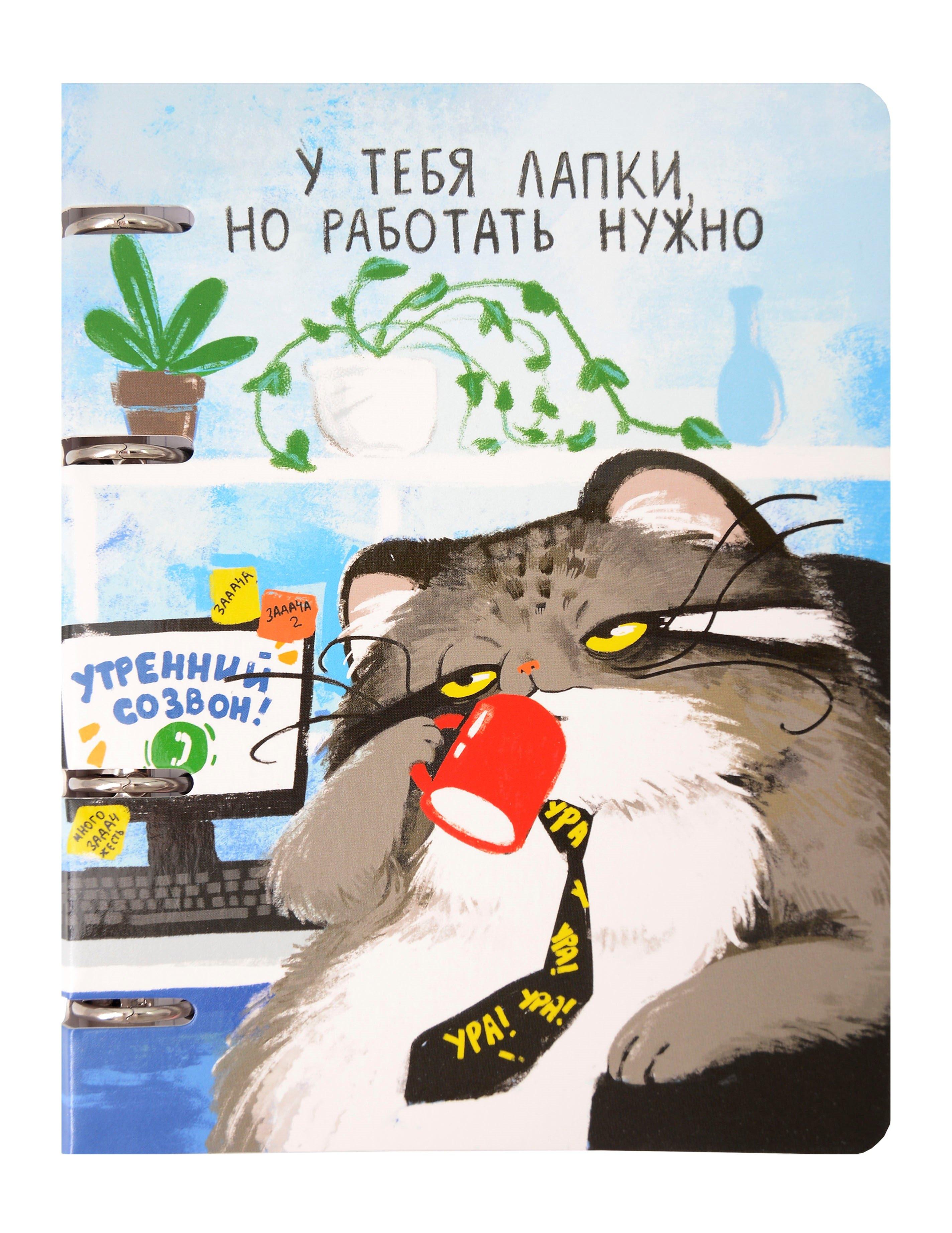 https://ndc.book24.ru/pim/products/images/af/15/01993859-d78a-75aa-967e-fe90e2ecaf15.jpg