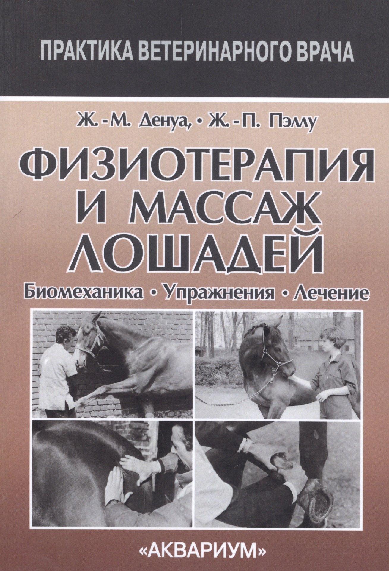Аквариум | Физиотерапия и массаж лошадей. Биомеханика. Упражнения. Лечение