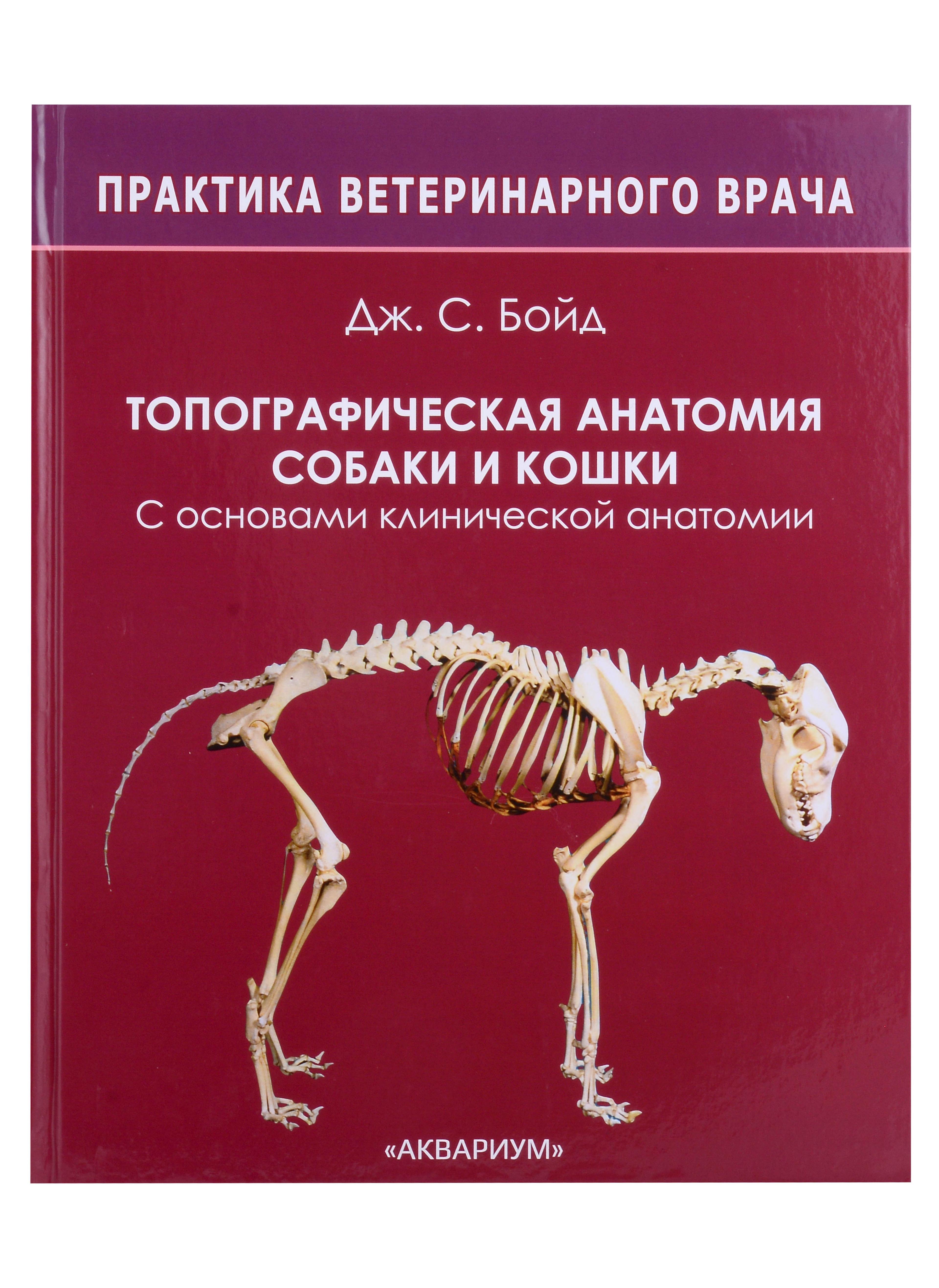 Топографическая анатомия собаки и кошки. С основами клинической анатомии