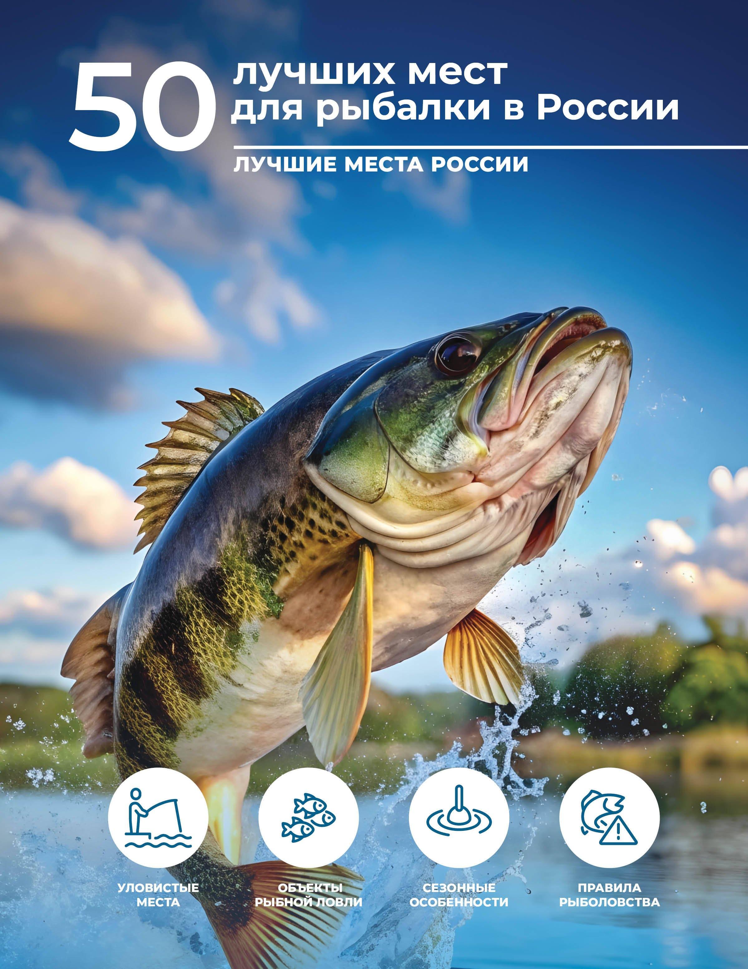 https://ndc.book24.ru/pim/products/images/b2/70/019c9e99-3d0c-7533-bcae-1d09c466b270.jpg