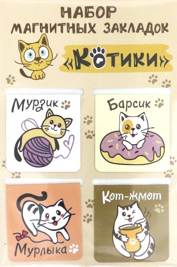 https://ndc.book24.ru/pim/products/images/b7/06/0196a03c-8e29-785e-a897-01735ed7b706.jpg