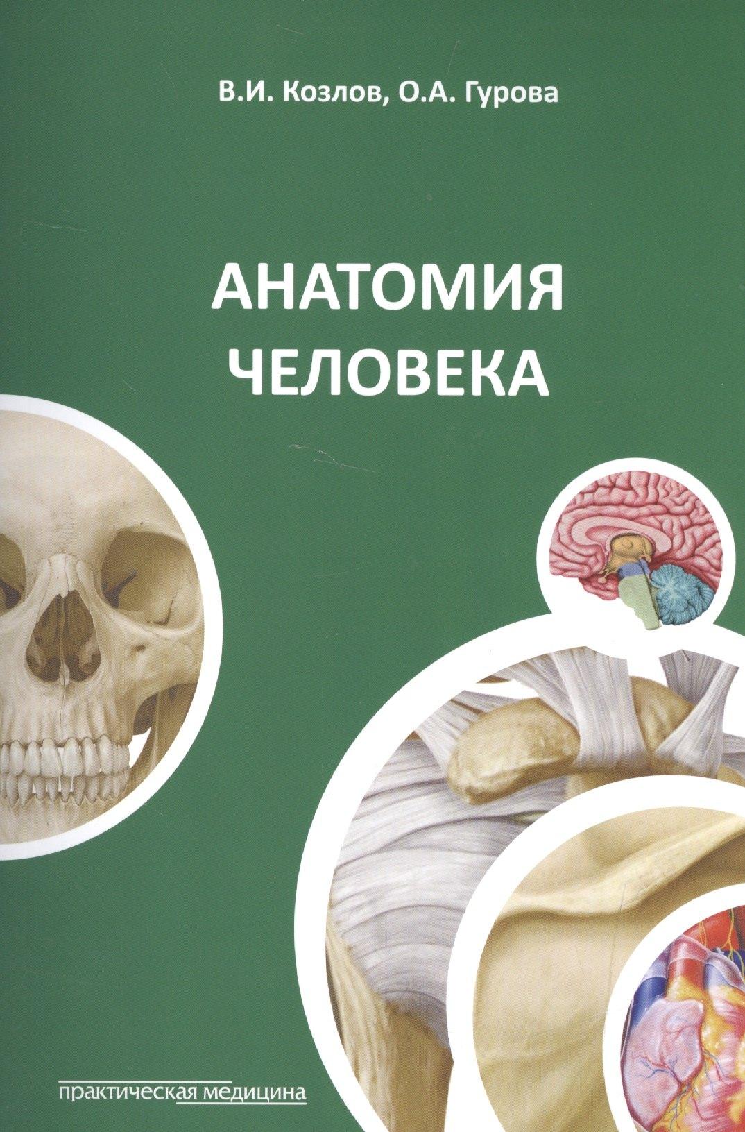 Практическая медицина | Анатомия человека. 3-е изд., перераб. и доп.
