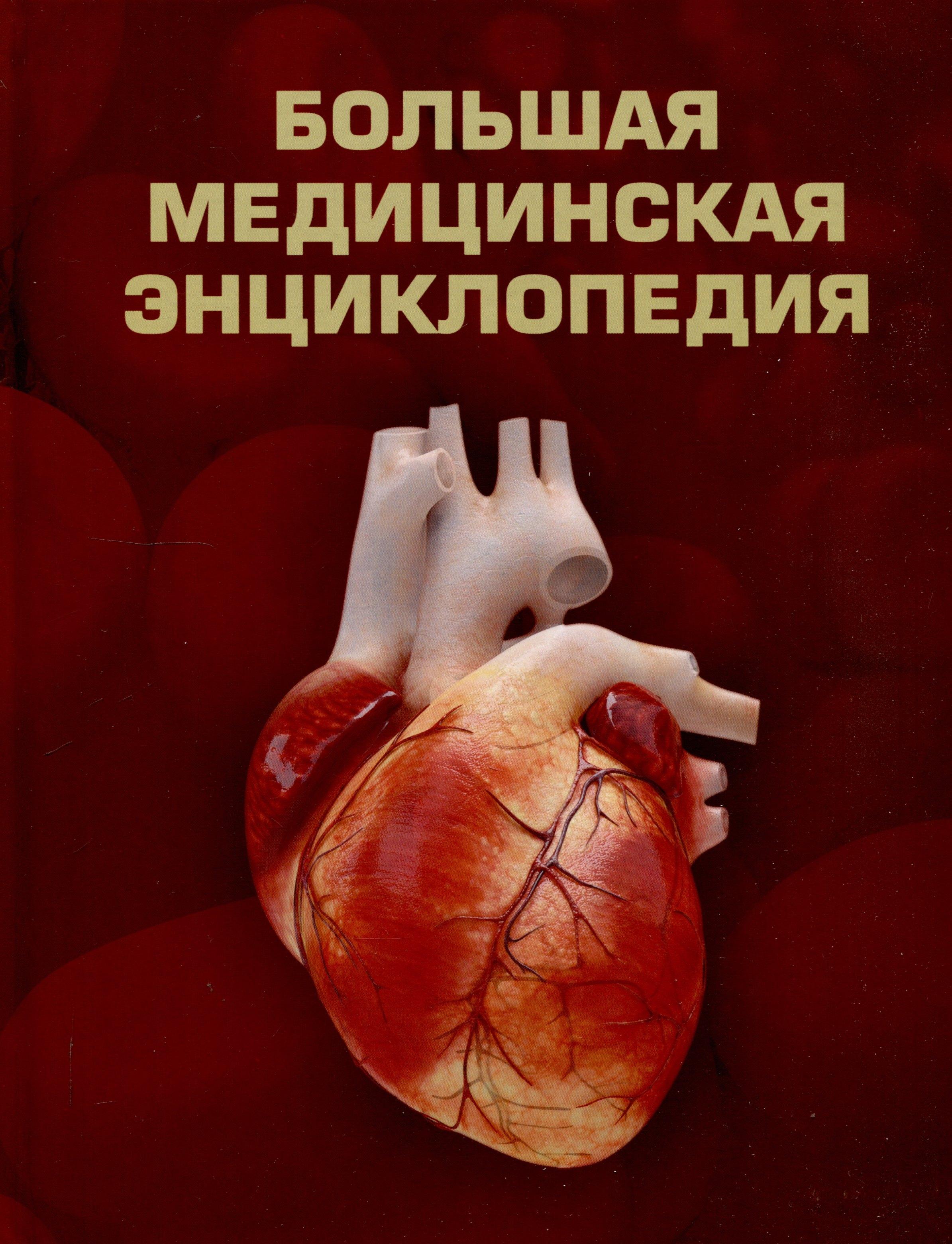https://ndc.book24.ru/pim/products/images/be/aa/0196a118-3d9a-7069-b225-cd28a622beaa.jpg