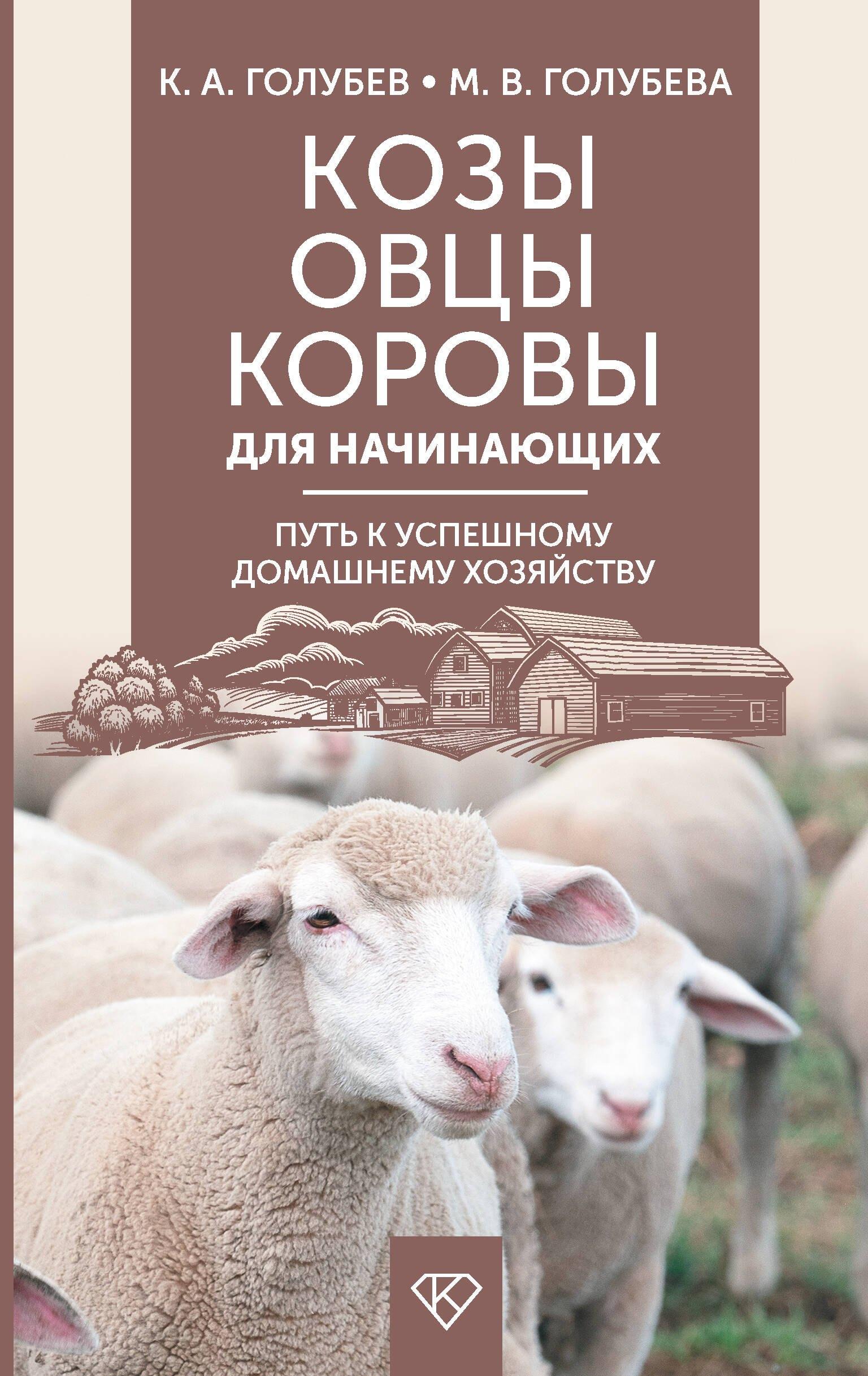 https://ndc.book24.ru/pim/products/images/be/d2/0194cfe2-f5de-7276-910e-d3c076ffbed2.jpg
