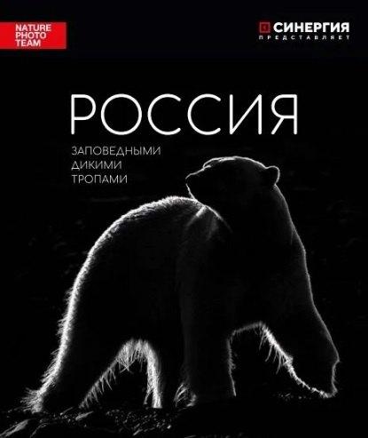 https://ndc.book24.ru/pim/products/images/bf/ba/019c0862-effd-7ba9-a5fd-d3f5d547bfba.jpg