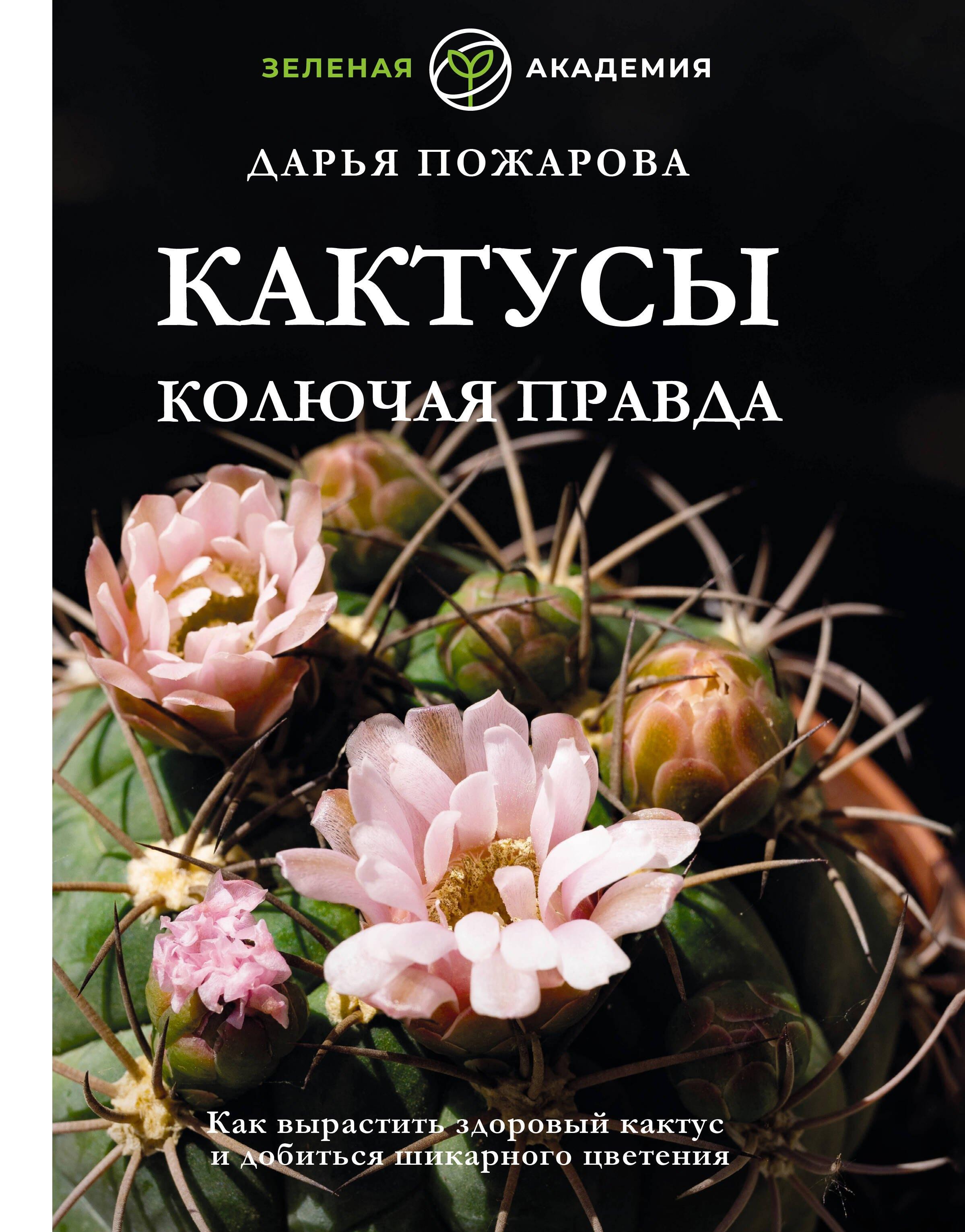 https://ndc.book24.ru/pim/products/images/bf/d4/0199ec89-07a1-7b0f-a41d-a9b43ec5bfd4.jpg