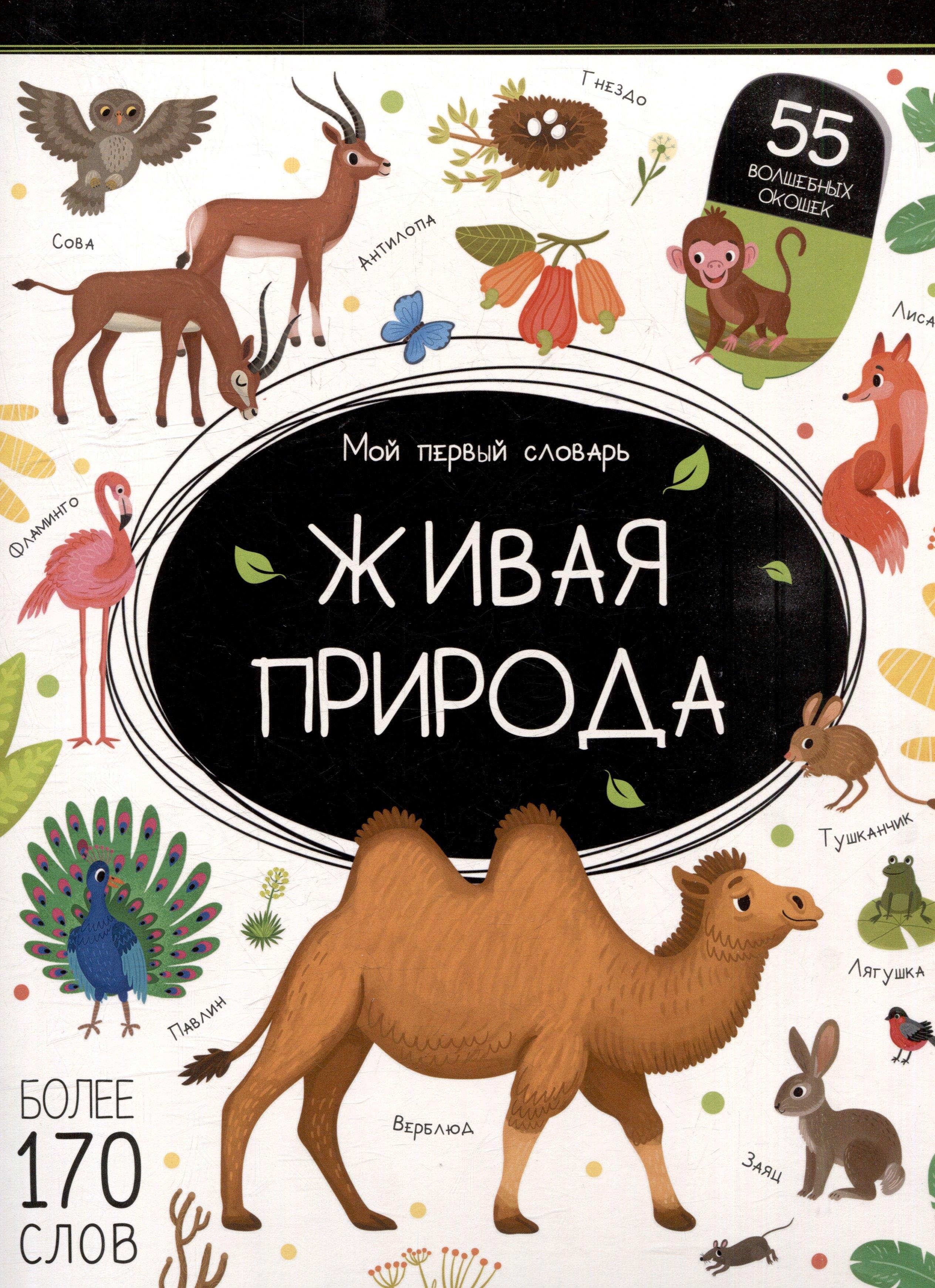Мой первый словарь. Живая природа: книжка с окошками