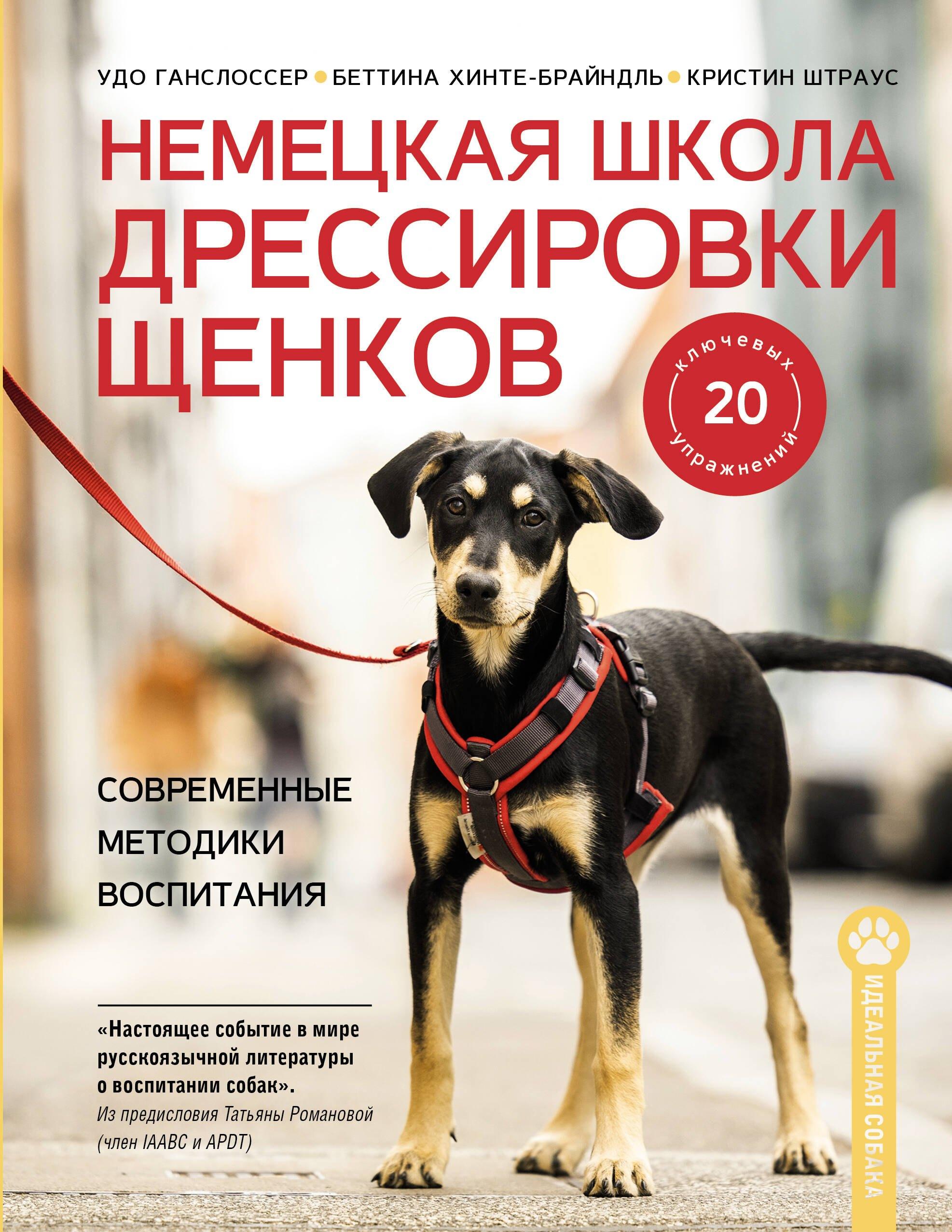 https://ndc.book24.ru/pim/products/images/c4/61/019a76dd-7a33-79ed-8366-bb915951c461.jpg