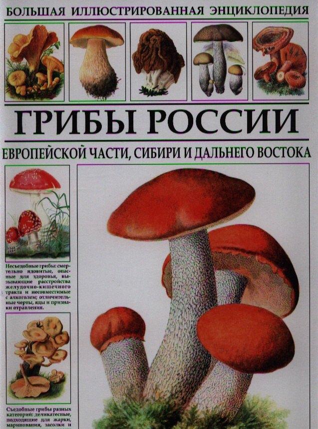 Bestiary | Большая иллюстрированная энциклопедия. Грибы России.