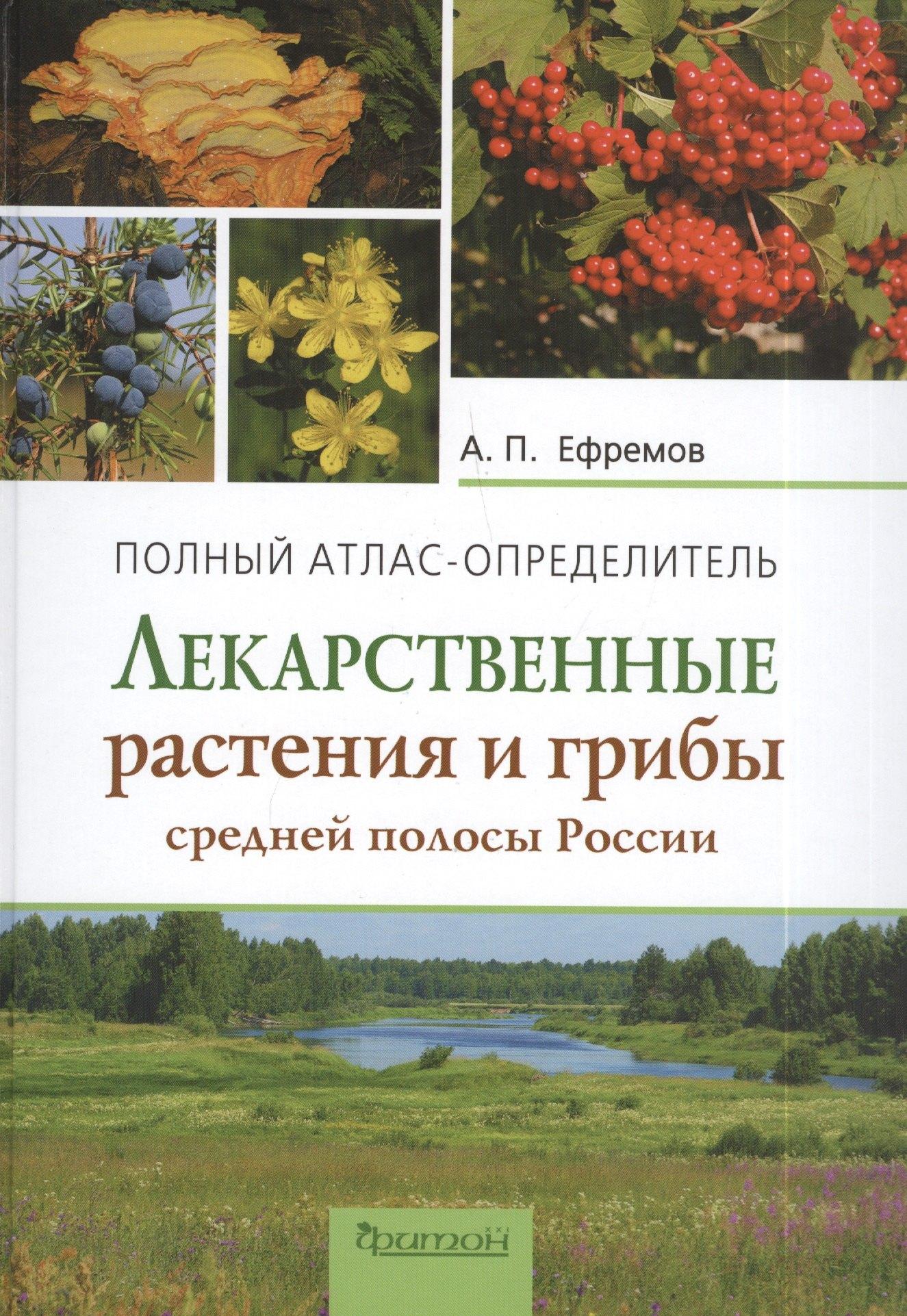Фитон ХХI | Лекарственные растения и грибы средней полосы России