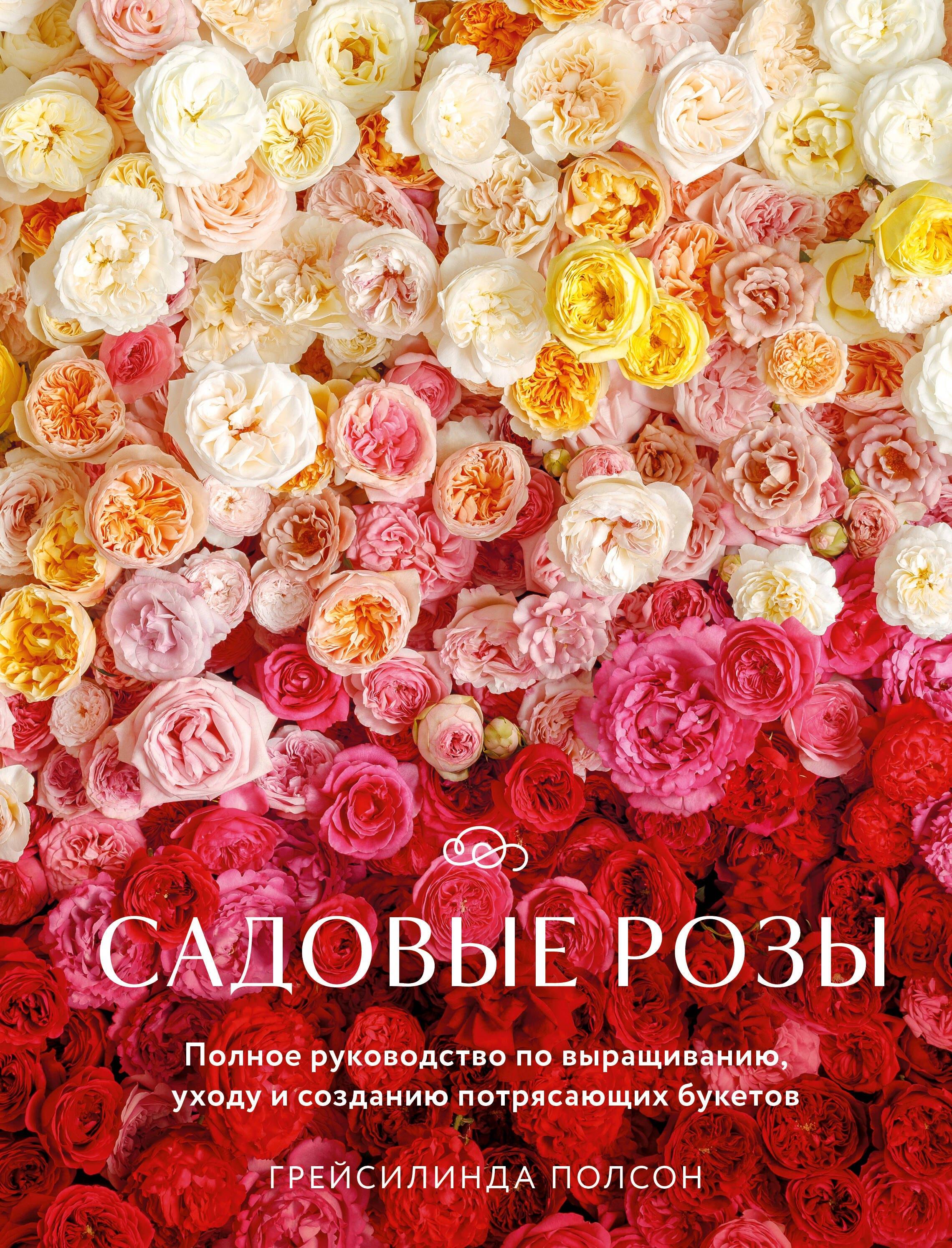 https://ndc.book24.ru/pim/products/images/cd/8b/019e69d6-5fe5-7b26-9fa3-24614c7bcd8b.jpg