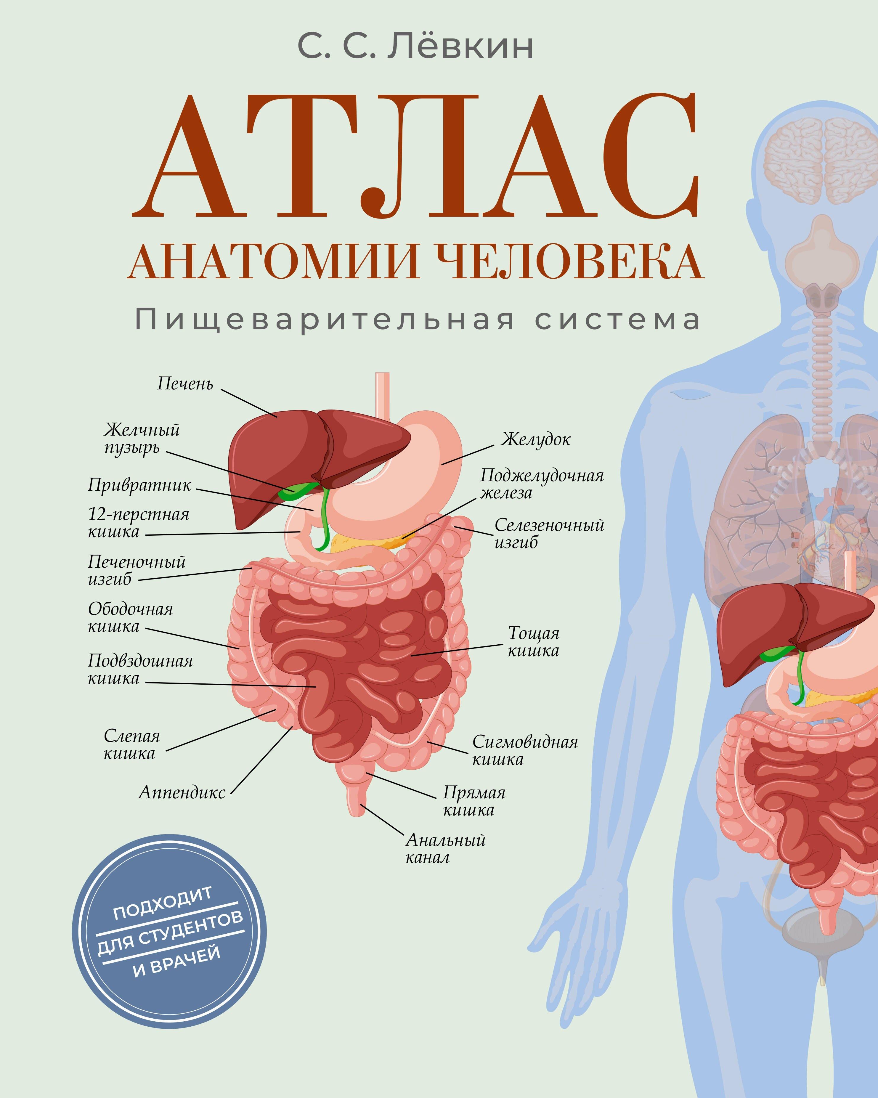 https://ndc.book24.ru/pim/products/images/cd/8c/0199eccb-364e-7544-9622-1b7e3967cd8c.jpg