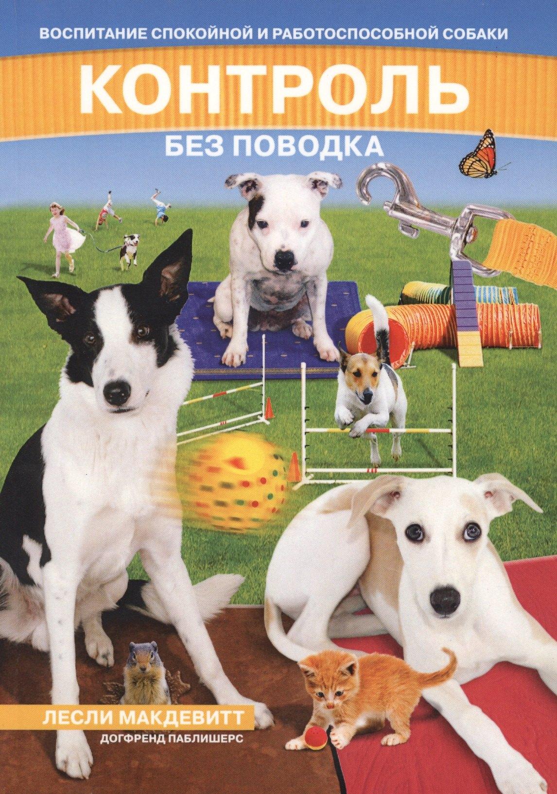 https://ndc.book24.ru/pim/products/images/ce/4b/018eddbb-87b5-7537-a786-24edcfe8ce4b.jpg
