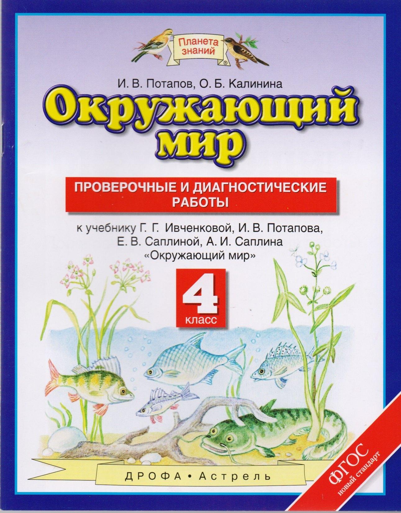 Окружающий мир: проверочные и диагностические работы: 4 класс: к учебнику Г.Г. Ивченковой и др. "Окружающий мир"