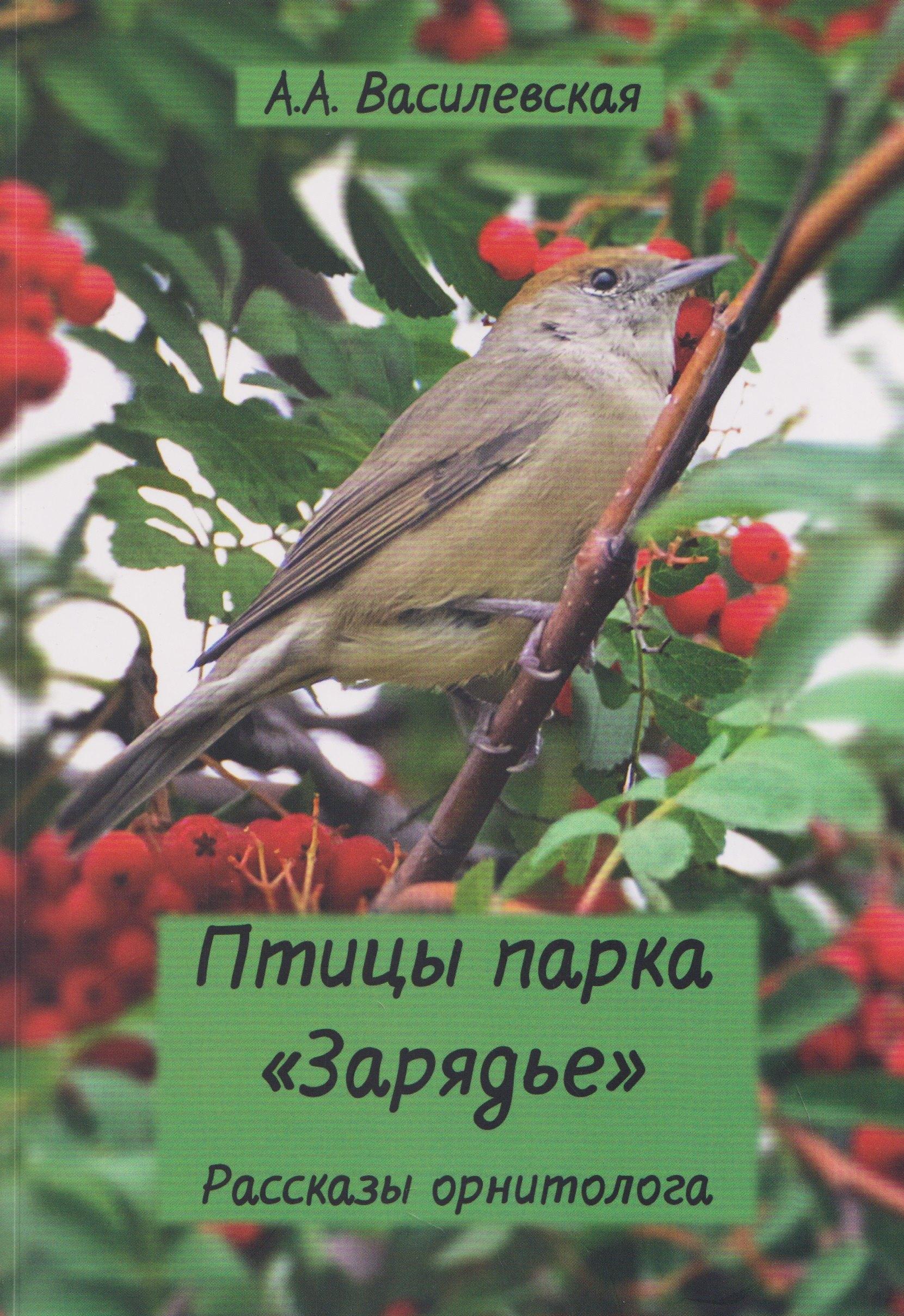 https://ndc.book24.ru/pim/products/images/d1/9e/019e0838-fe26-7577-a39c-00e3b568d19e.jpg