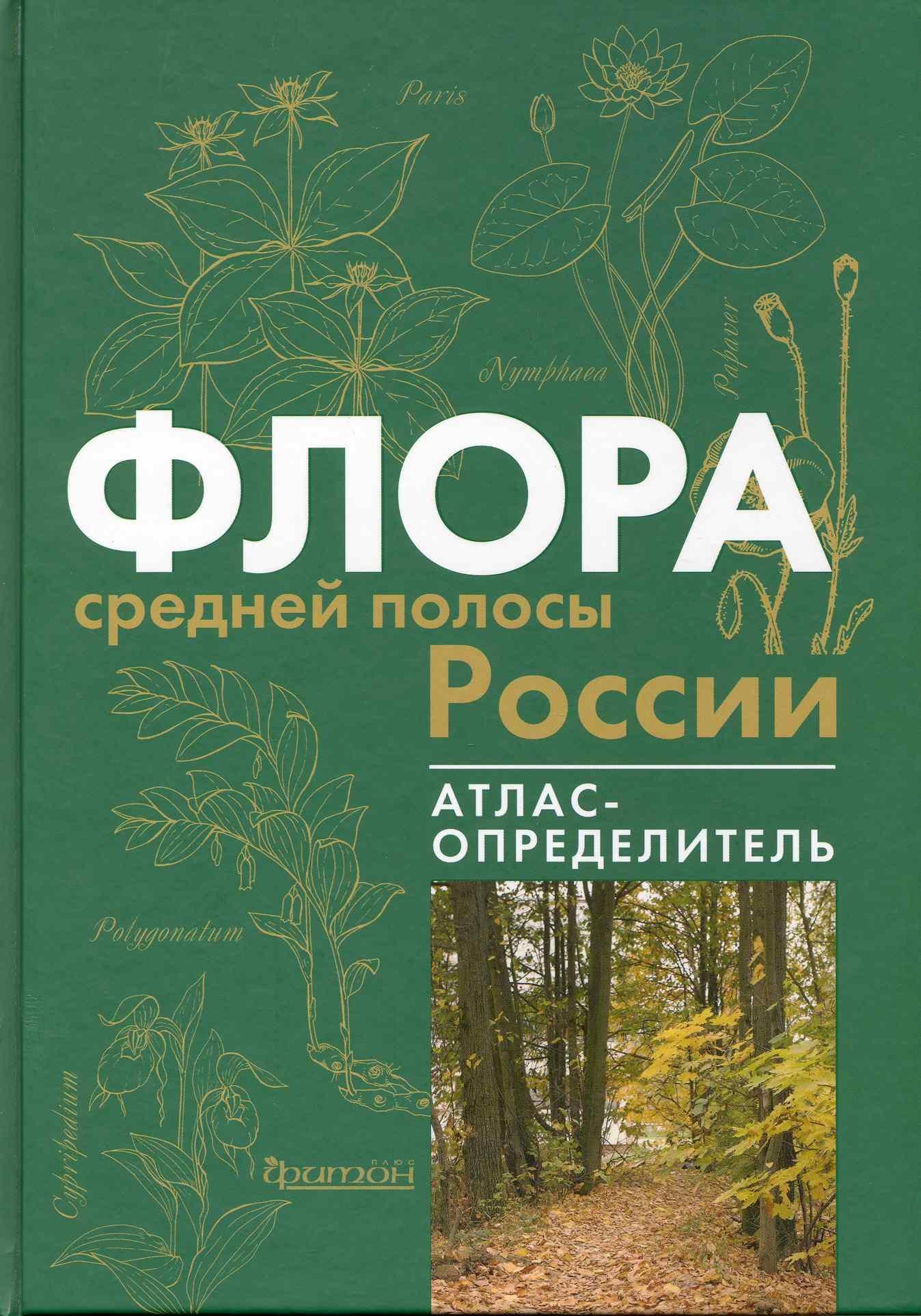 Фитон ХХI | Флора средней полосы России: Атлас определитель