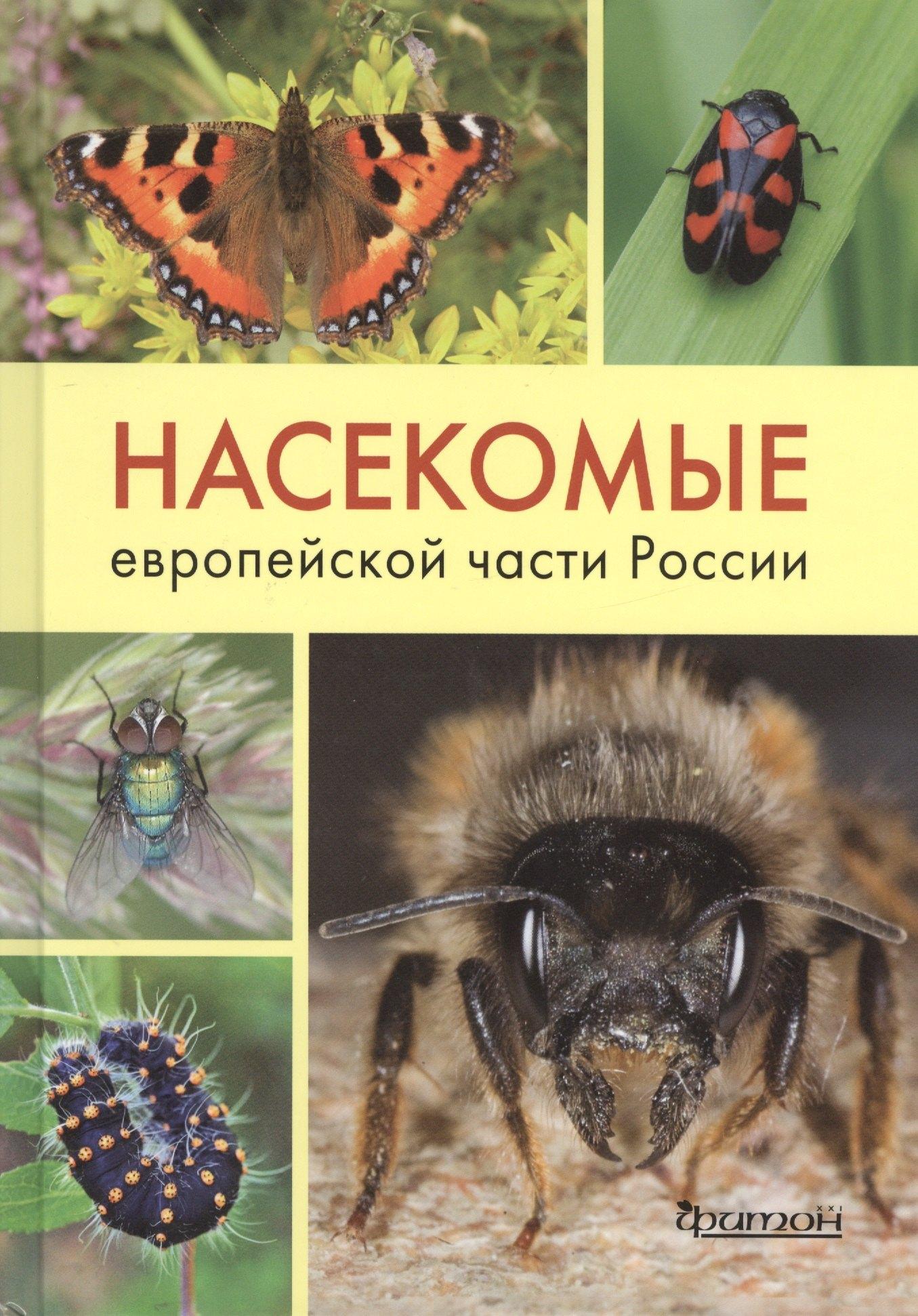 Фитон ХХI | Насекомые Европейской части России