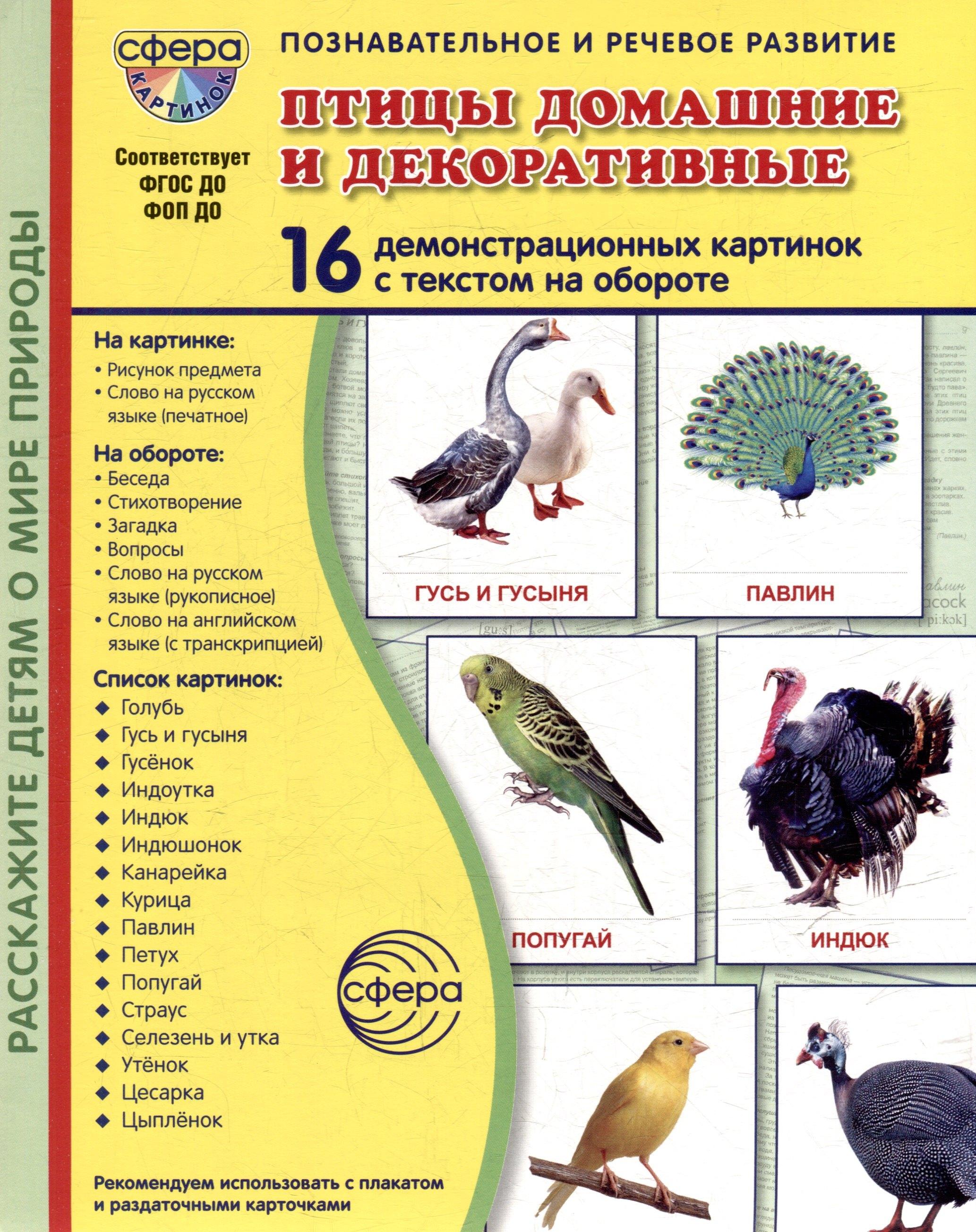 https://ndc.book24.ru/pim/products/images/d8/d8/01983d15-6eb5-7aed-96a5-f1776a40d8d8.jpg