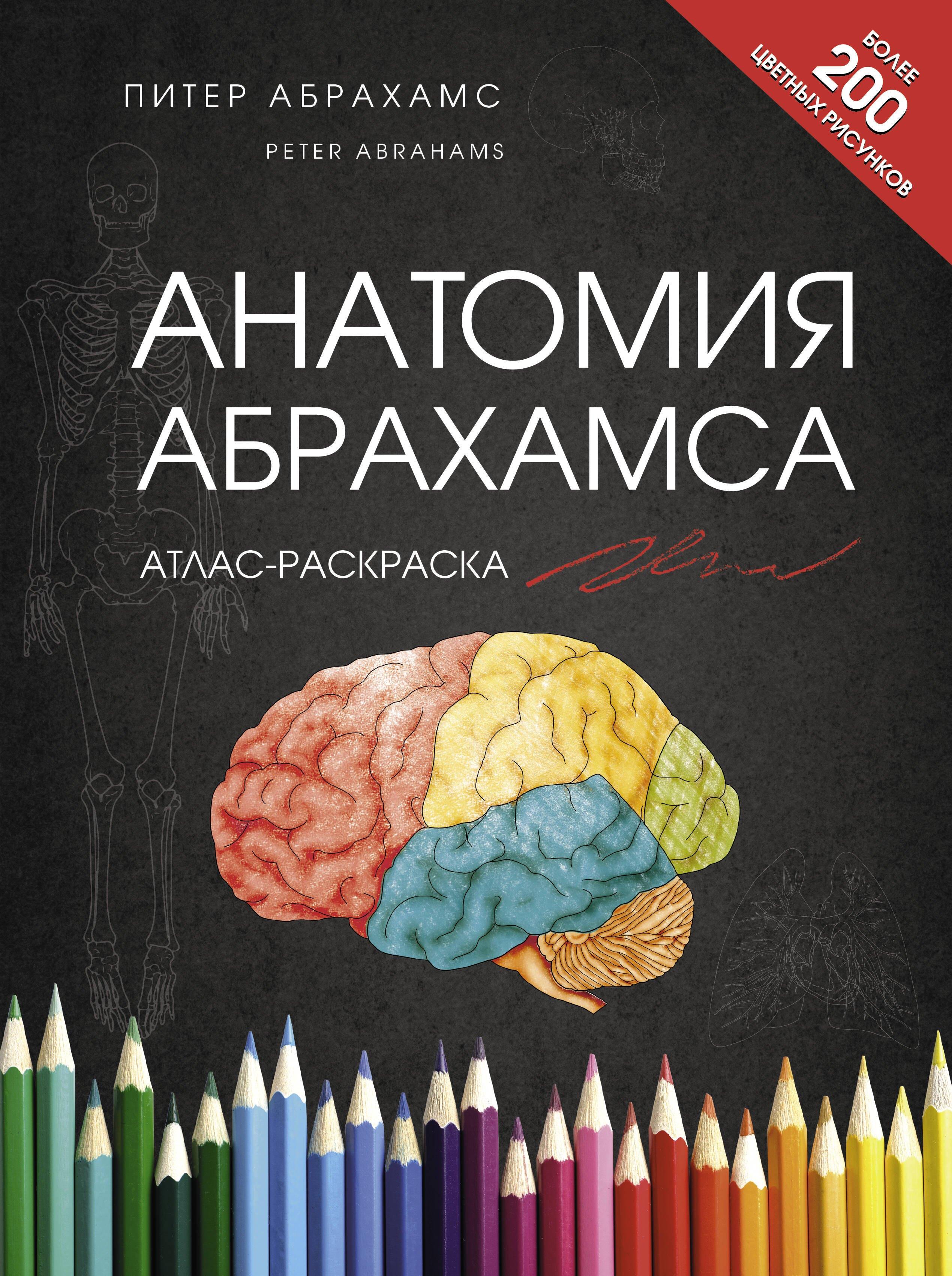 https://ndc.book24.ru/pim/products/images/dc/47/0195fb4a-fc71-7706-9d62-17f4c121dc47.jpg