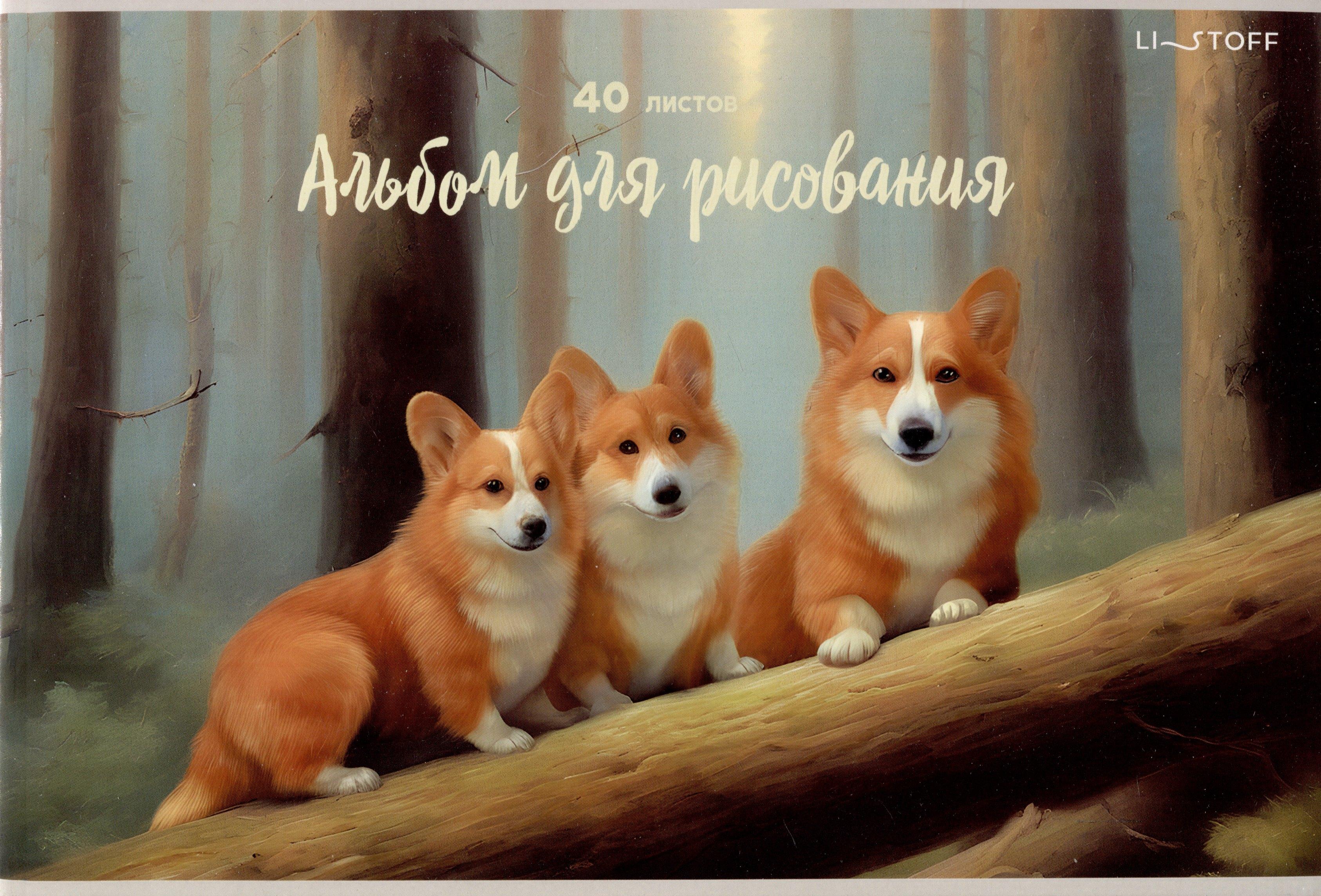 https://ndc.book24.ru/pim/products/images/df/23/0195a4b5-9f97-7f6c-a5d6-ab321774df23.jpg