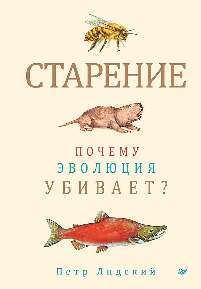 https://ndc.book24.ru/pim/products/images/e3/1f/0199cf01-99f0-783d-b7b9-19d0561fe31f.jpg