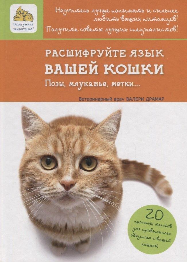 https://ndc.book24.ru/pim/products/images/e3/a3/018ee03d-7839-740f-a31c-a4f07a1fe3a3.jpg