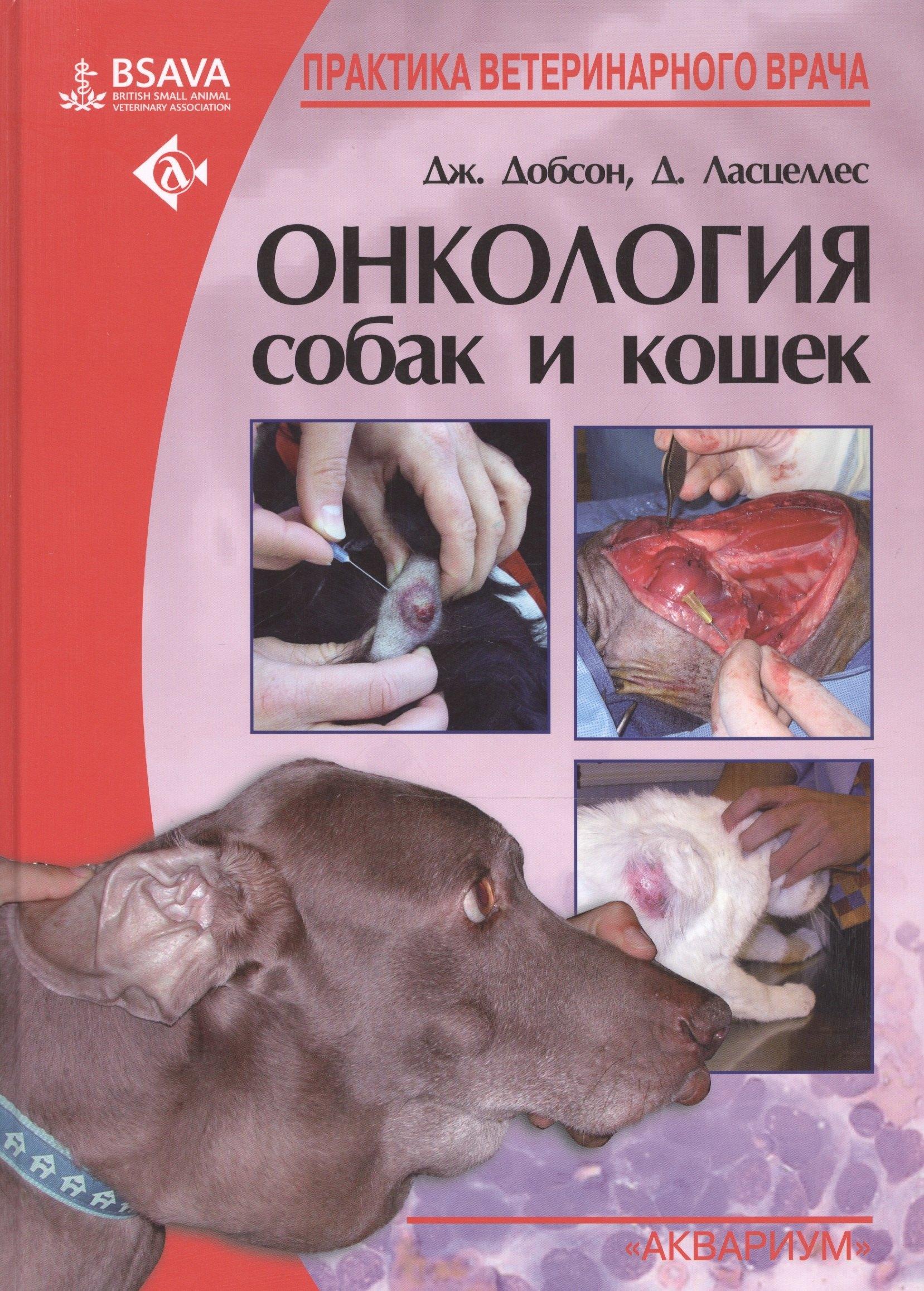 Аквариум | Онкология собак и кошек