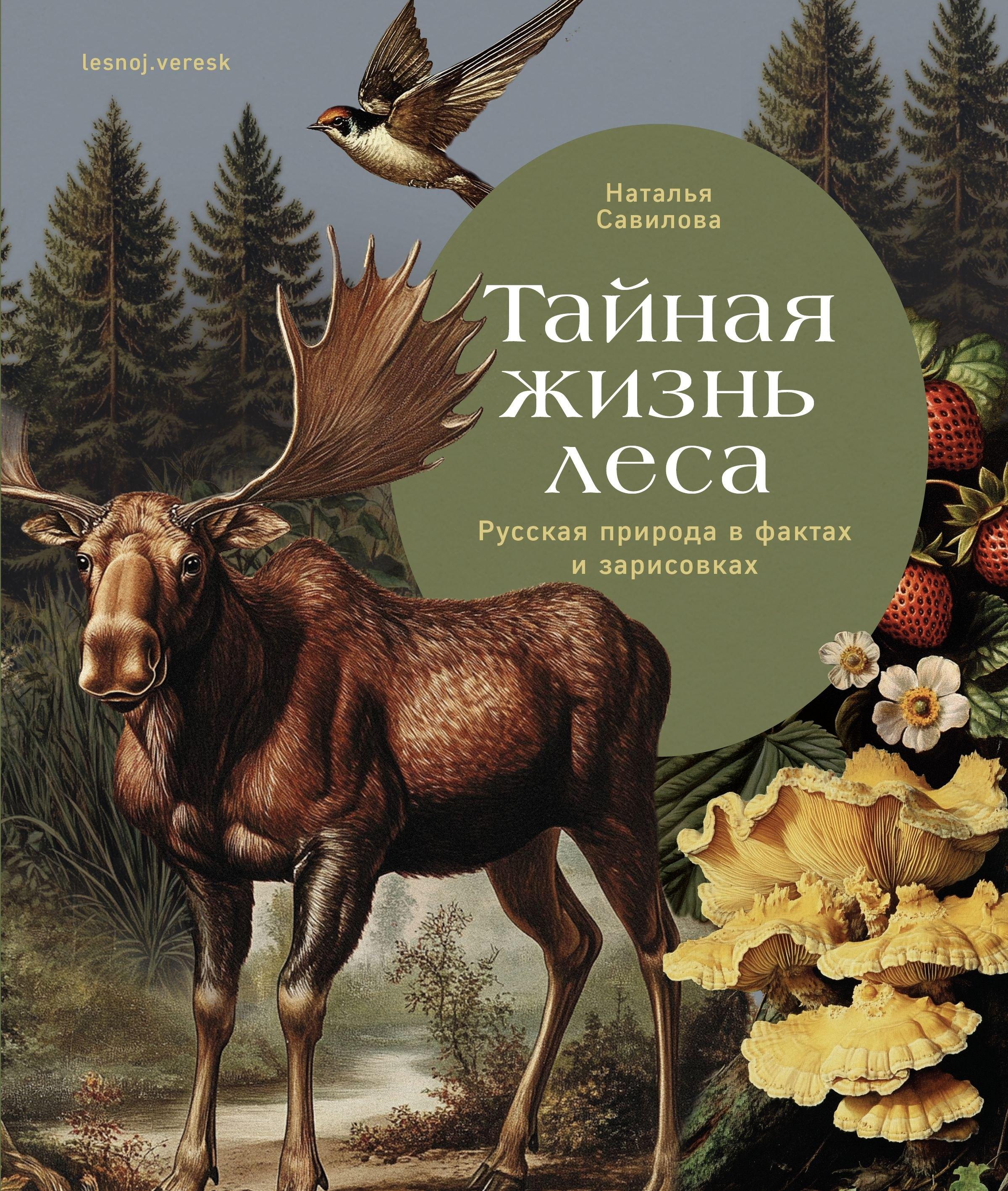 https://ndc.book24.ru/pim/products/images/e7/03/01986672-4fbb-751a-9085-288fbd06e703.jpg