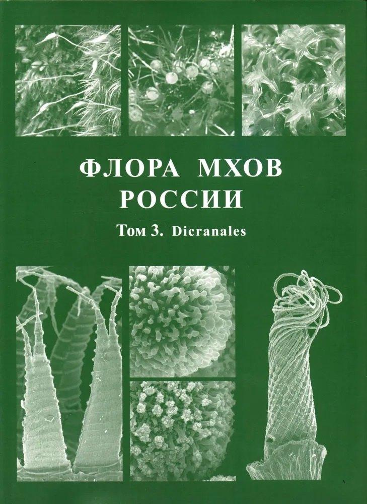 https://ndc.book24.ru/pim/products/images/e7/9c/01982db3-1e5c-7799-9e88-de714b39e79c.jpg