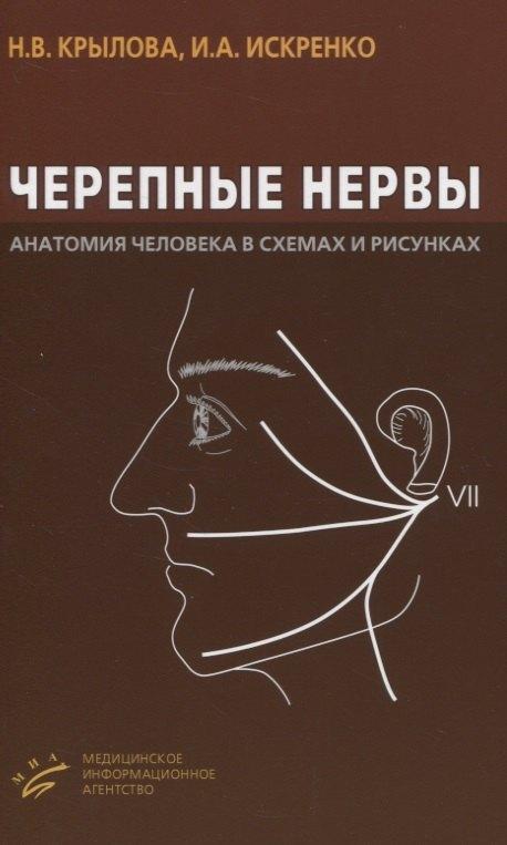 МИА | Черепные нервы. Анатомия человека в схемах и рисунках