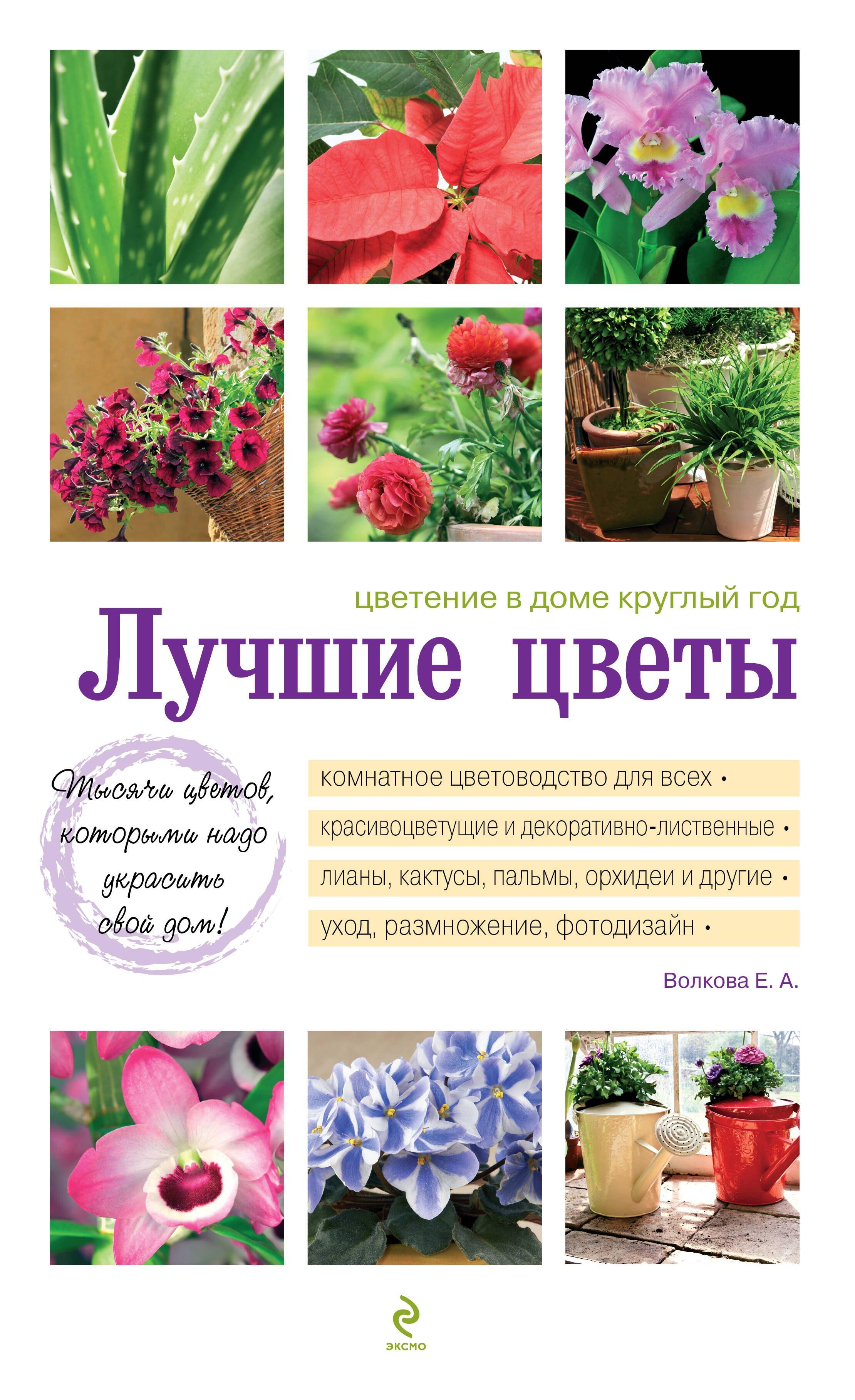 https://ndc.book24.ru/pim/products/images/eb/b8/01940b71-87ae-7de8-8901-bf80b0a0ebb8.jpg