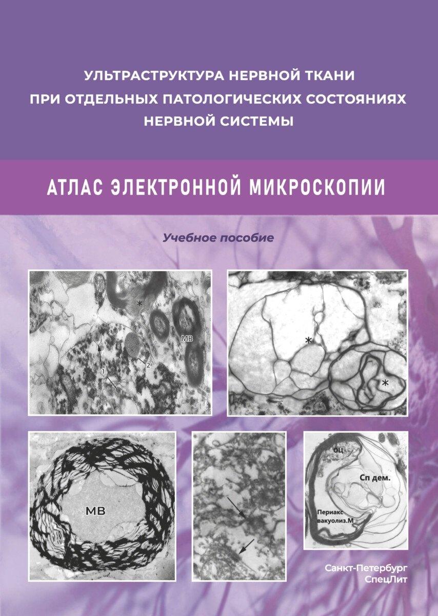 https://ndc.book24.ru/pim/products/images/ee/66/019ce5cc-9236-77e3-a4a1-c67497c6ee66.jpg