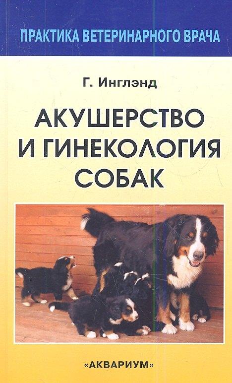 Аквариум | Акушерство и гинекология собак