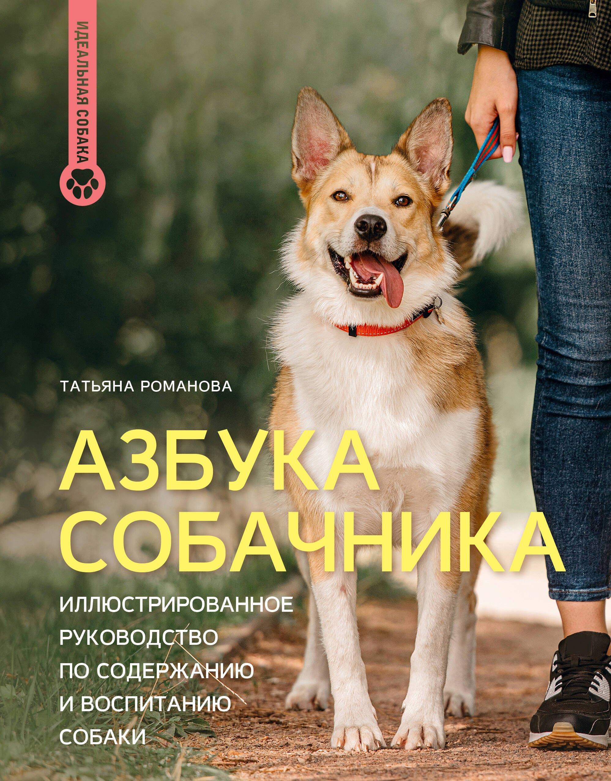 https://ndc.book24.ru/pim/products/images/f0/2f/01961e59-e397-702a-8688-31b548faf02f.jpg