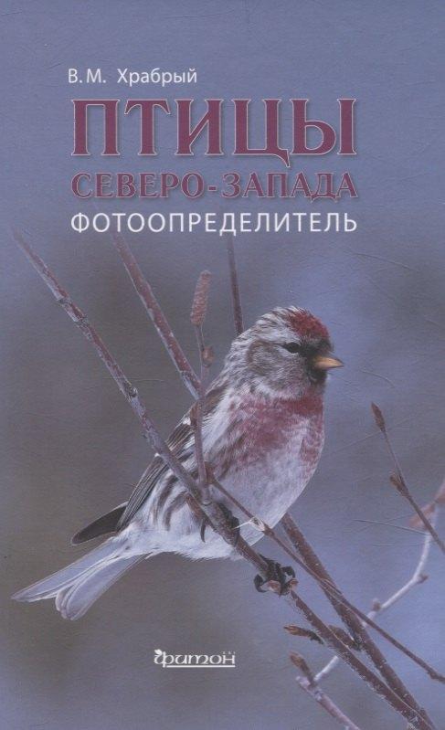Фитон XXI | Птицы Северо - Запада. Фотоопределитель